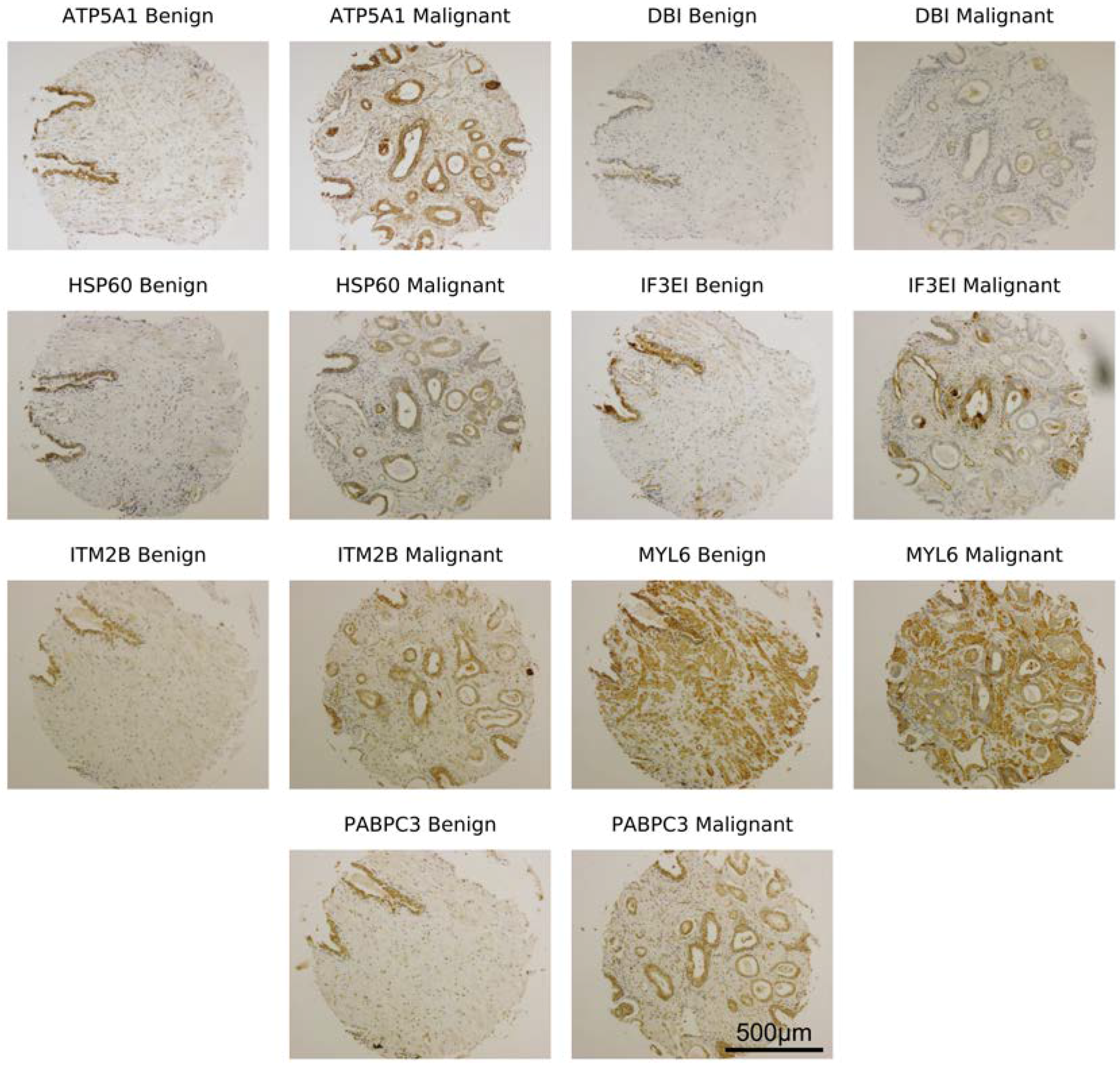 Diagnostics 08 00049 g001