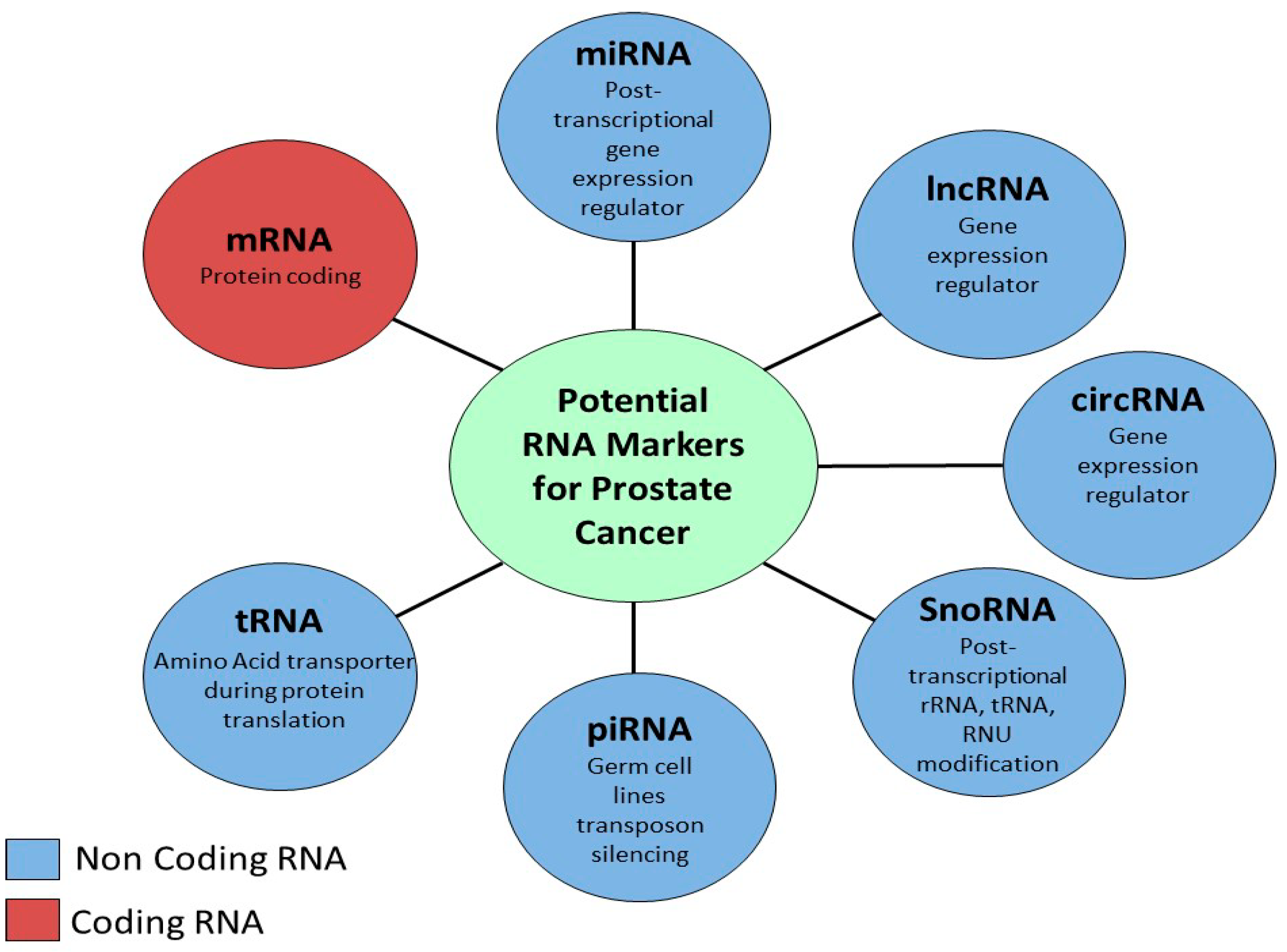 Diagnostics 08 00060 g001