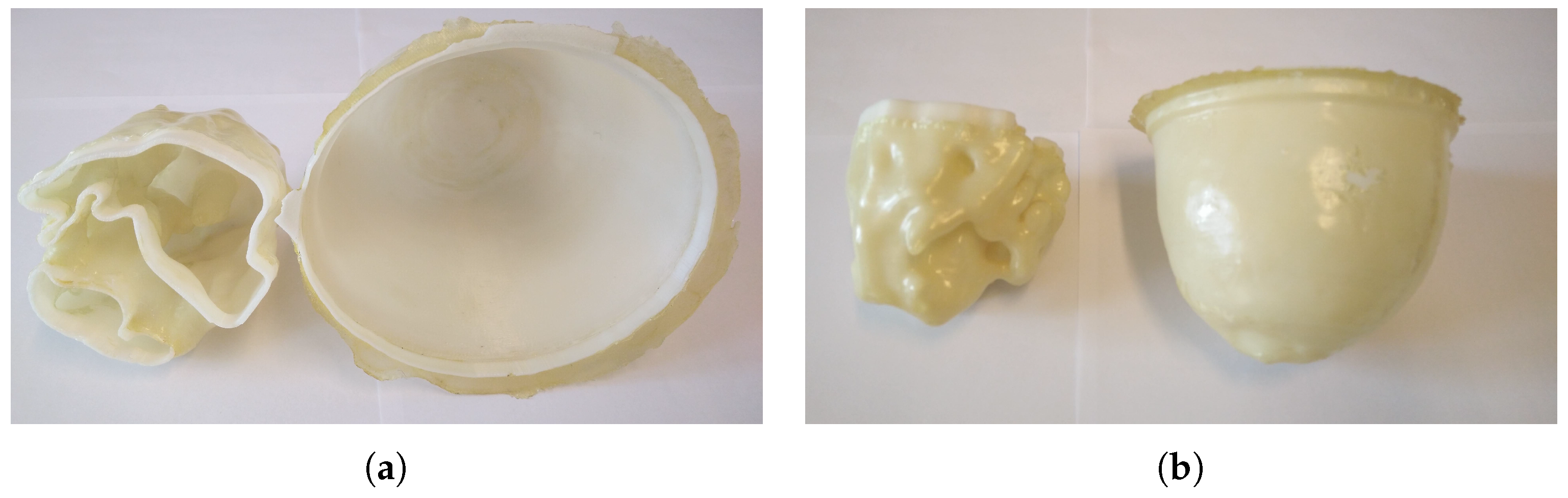 Diagnostics 08 00061 g002