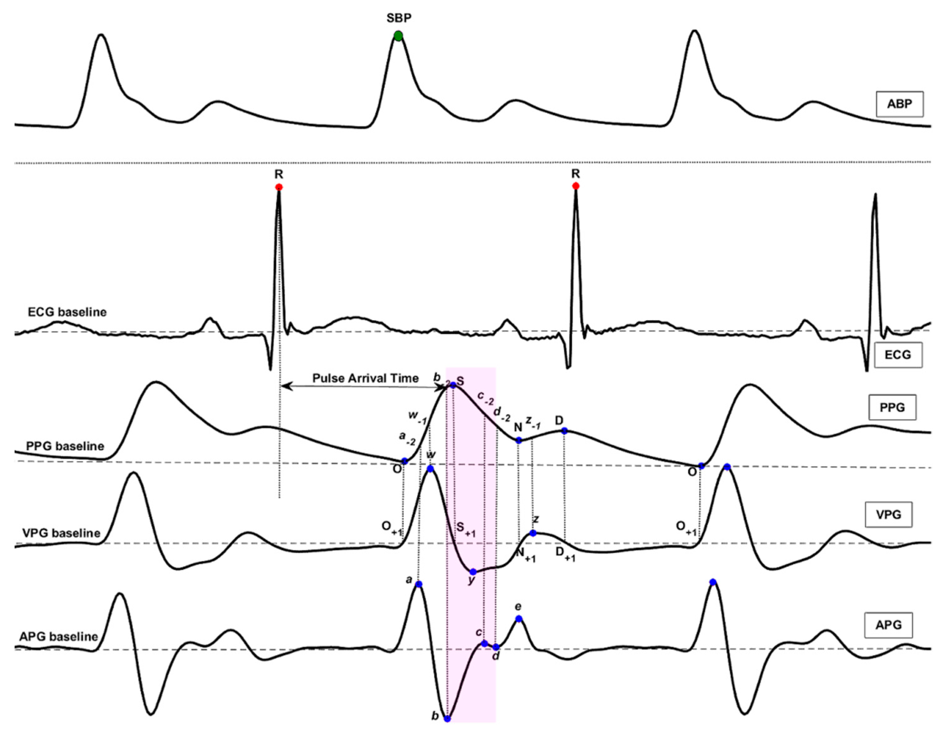 Diagnostics 08 00065 g001