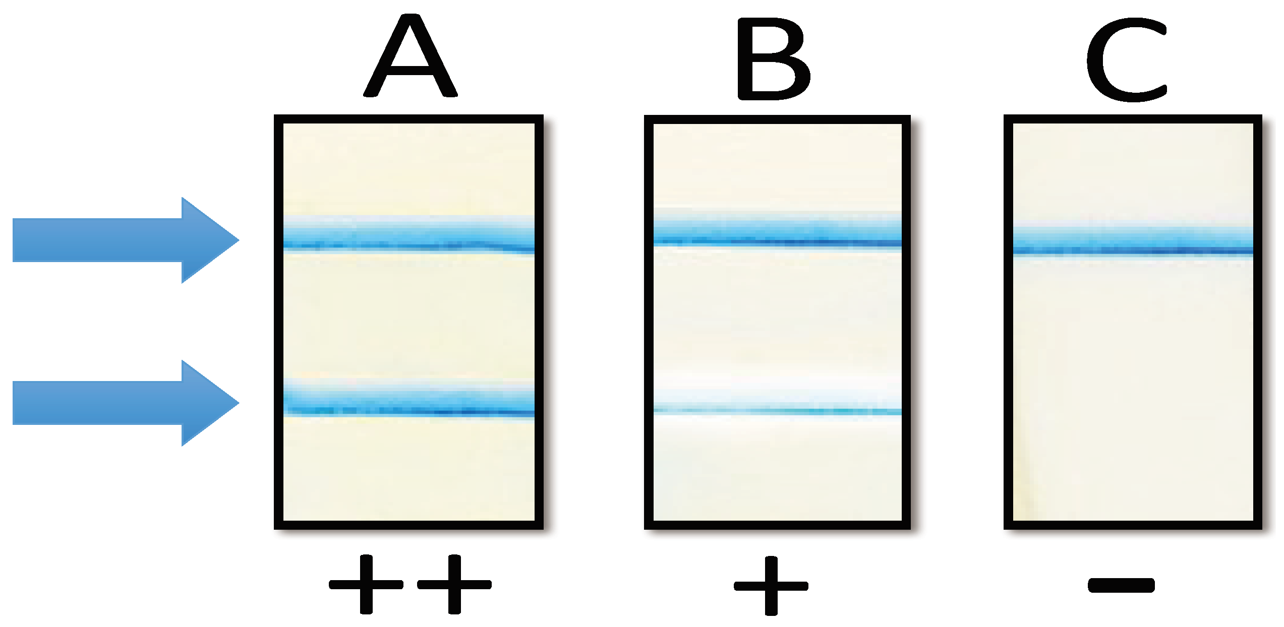 Diagnostics 08 00067 g003