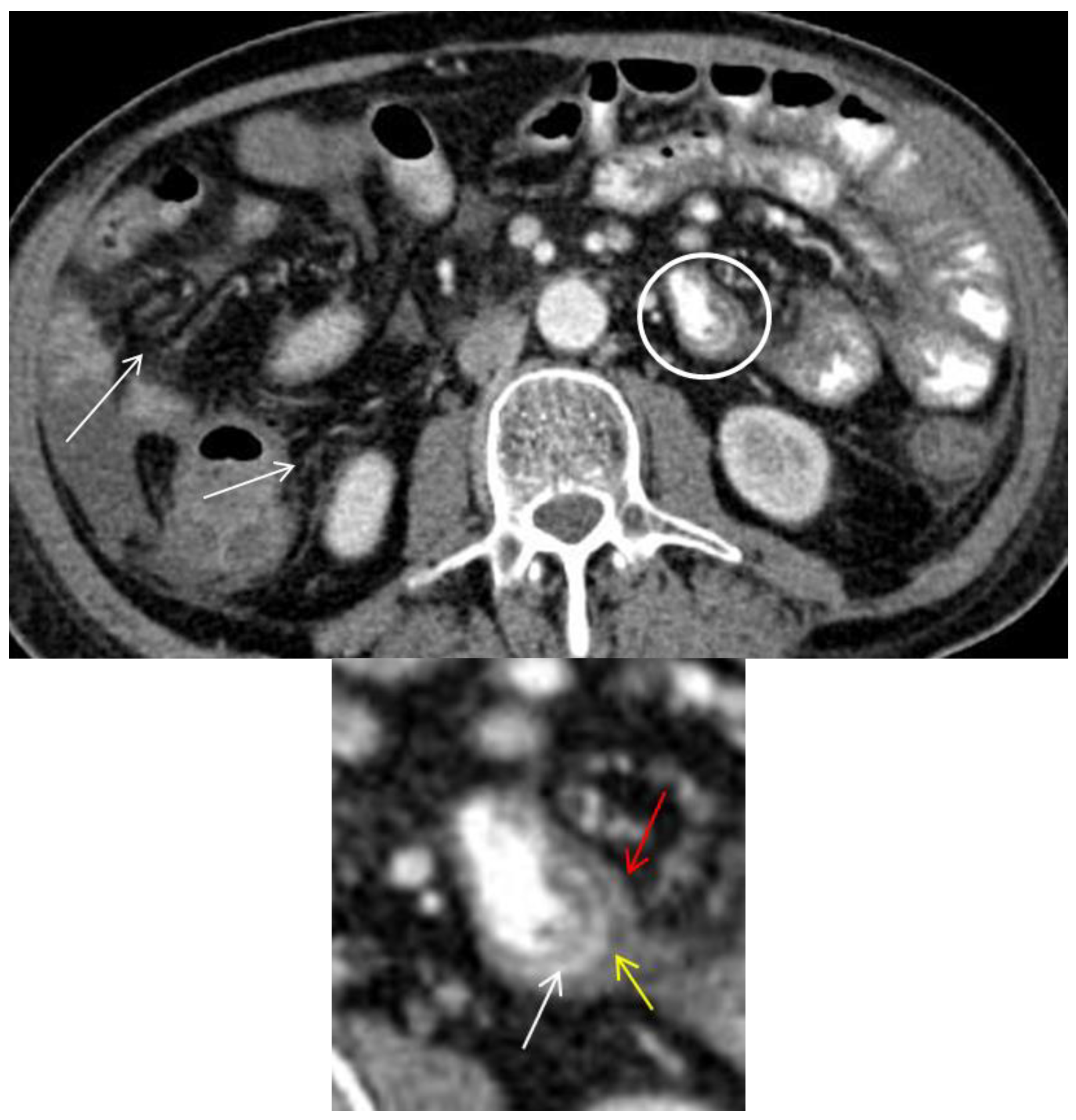 Diagnostics 08 00072 g003