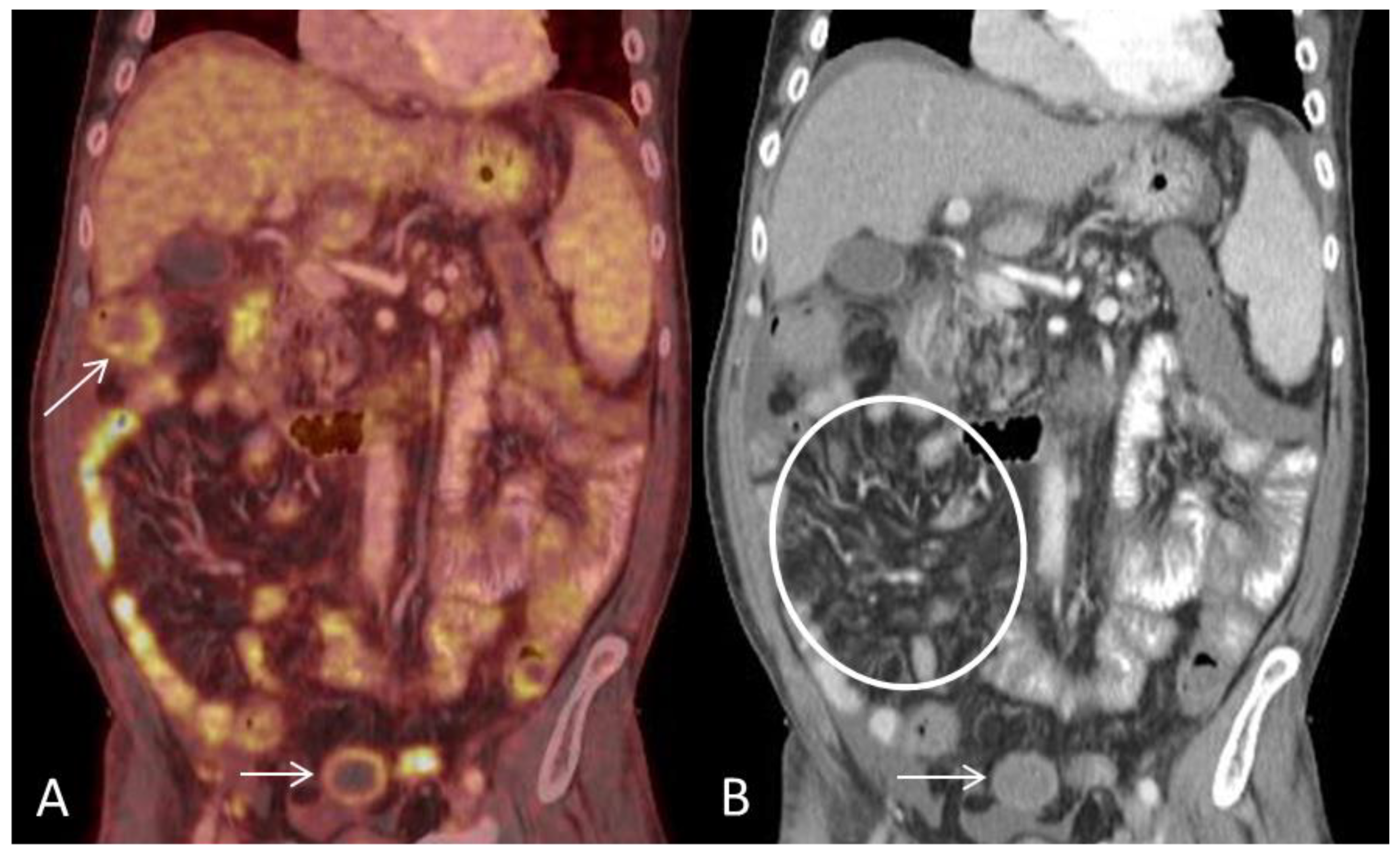 Diagnostics 08 00072 g004