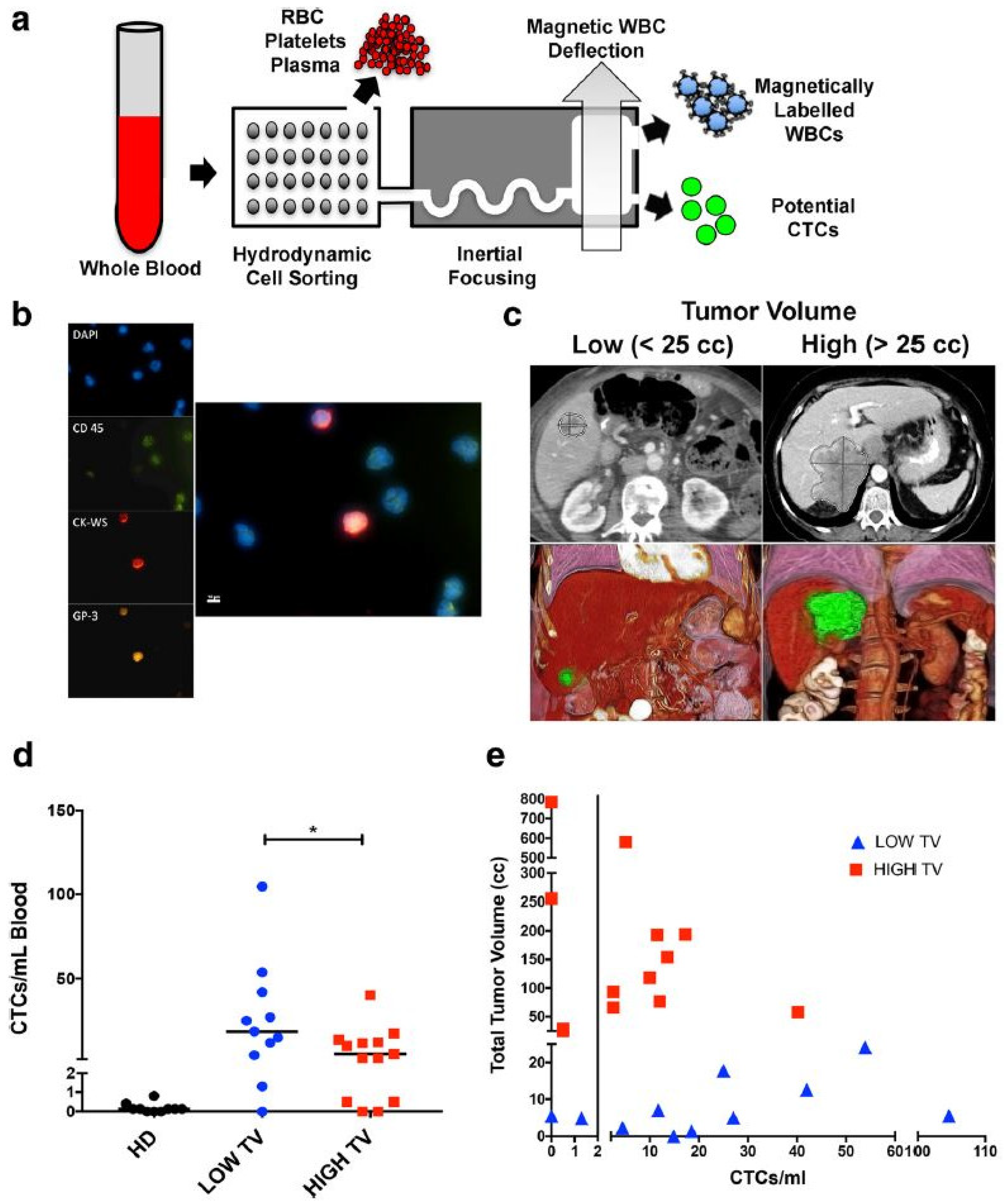 Diagnostics 08 00075 g002 Diagnostics 08 00075 g002
