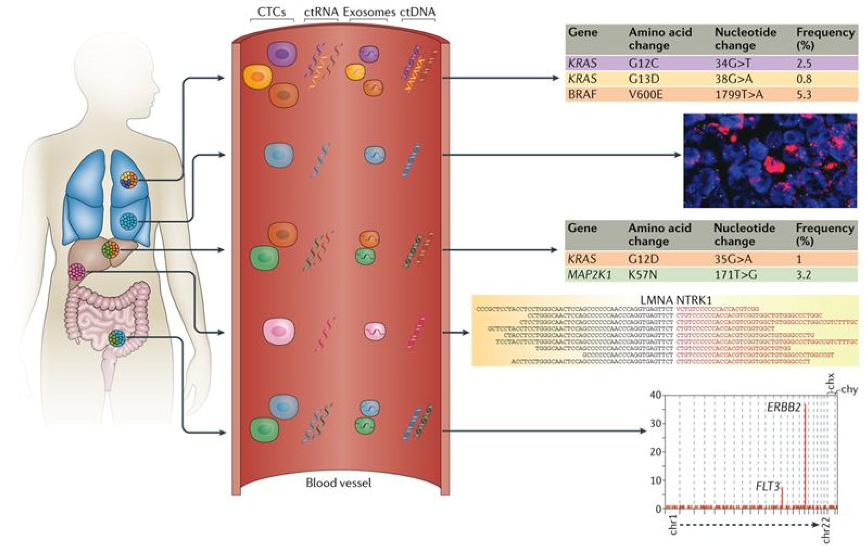 Diagnostics 08 00075 g003 Diagnostics 08 00075 g003