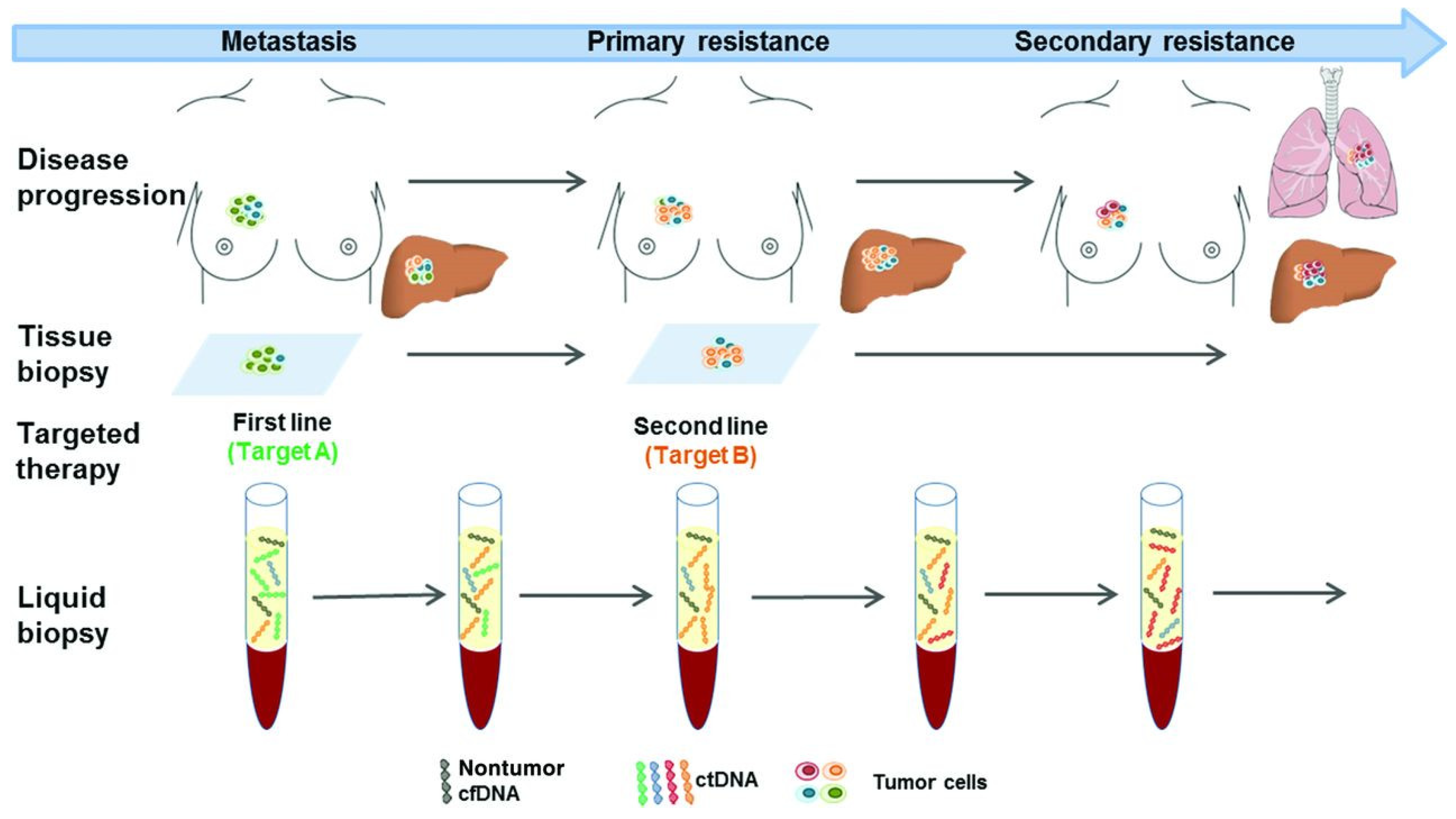 Diagnostics 08 00075 g004 Diagnostics 08 00075 g004