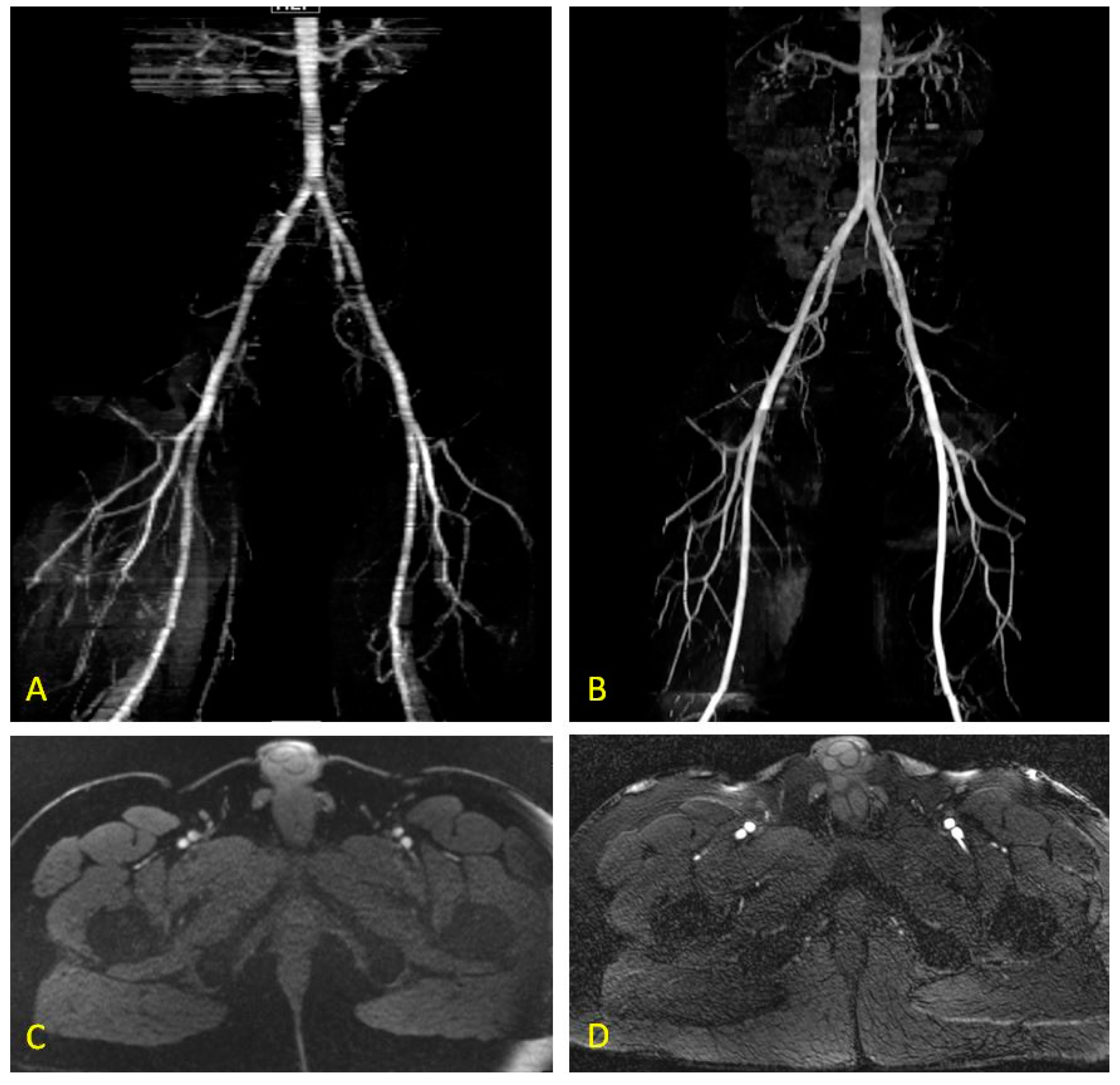 Diagnostics 08 00084 g002