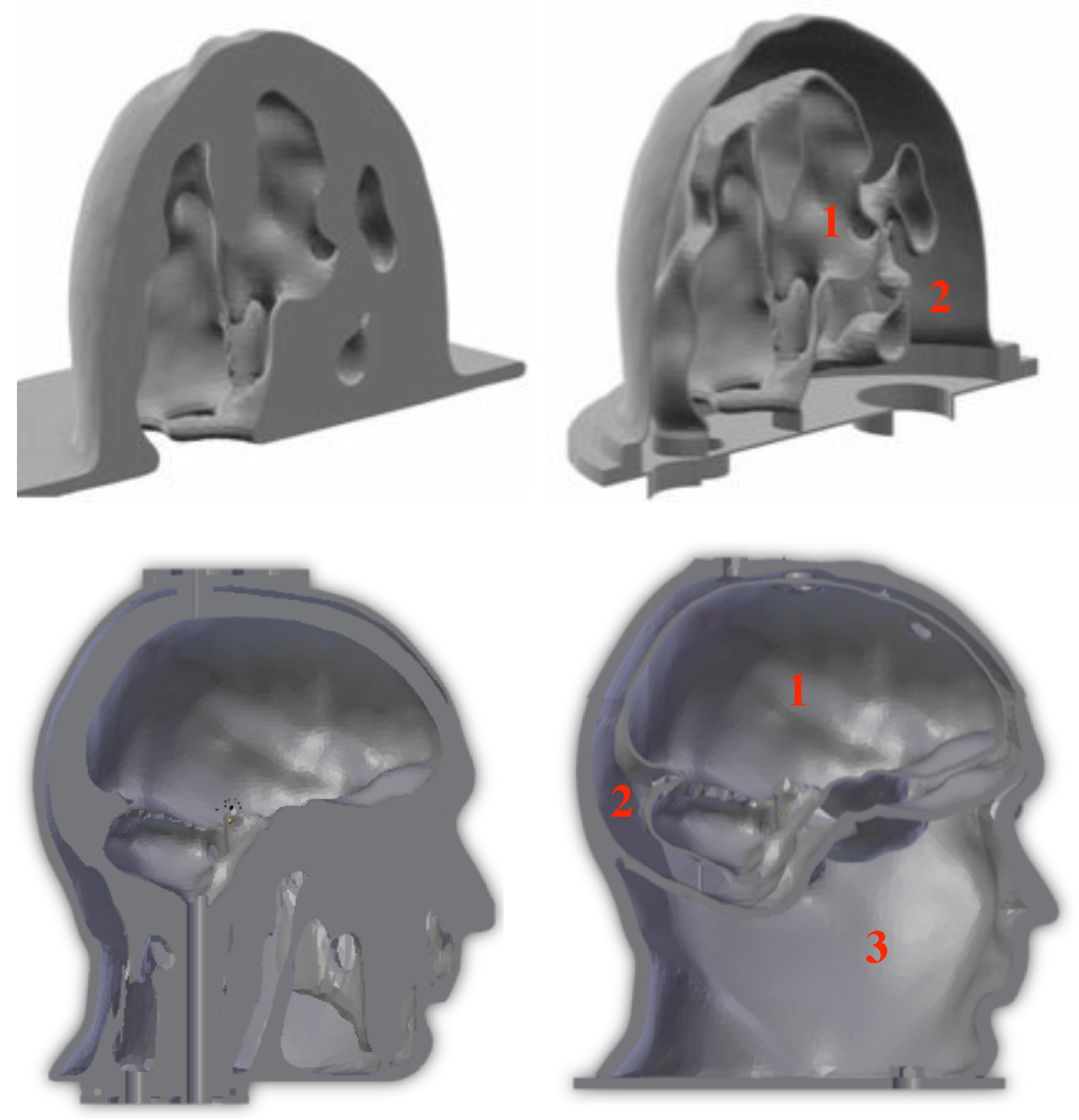 Diagnostics 08 00085 g001