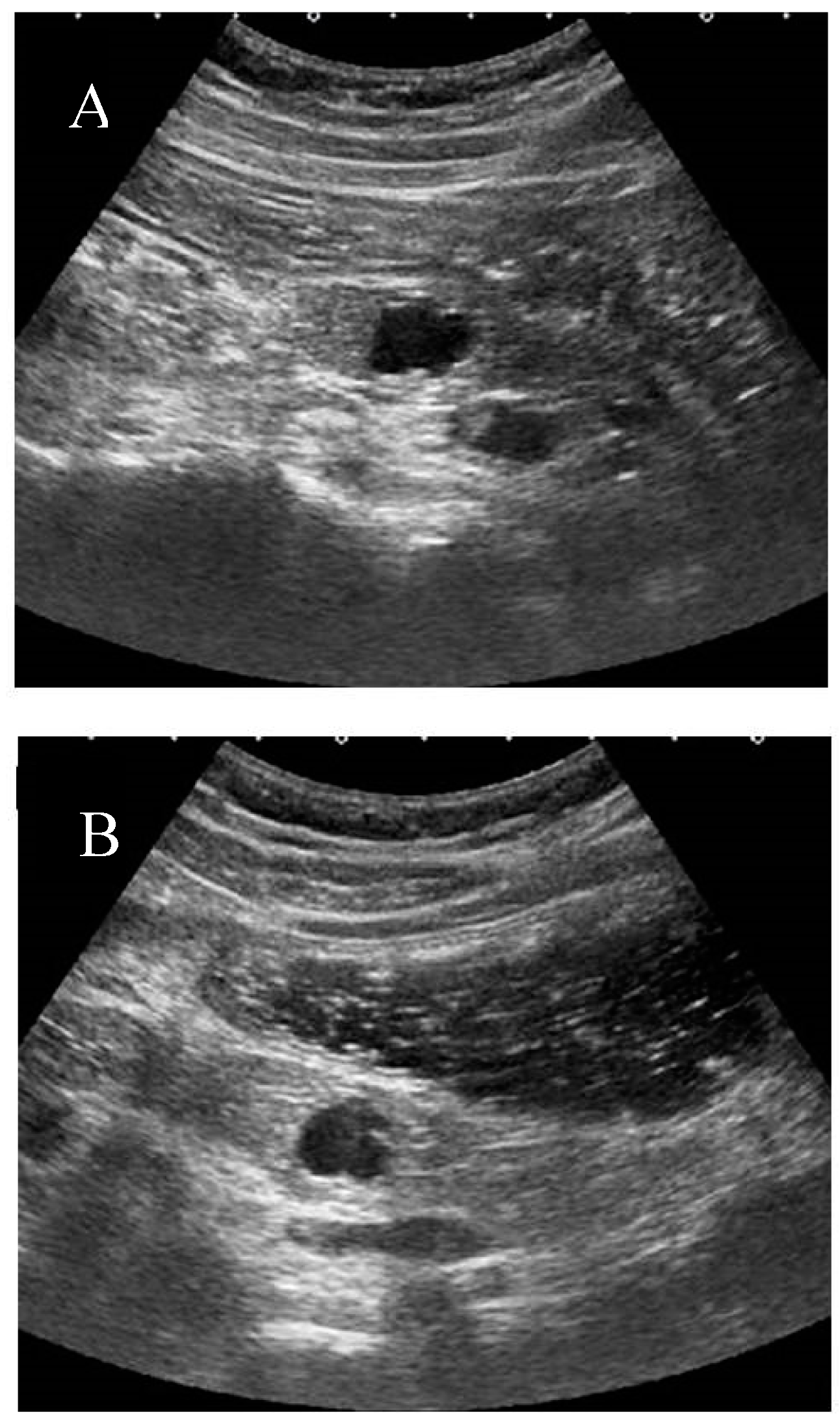 Diagnostics 09 00002 g003 Diagnostics 09 00002 g003