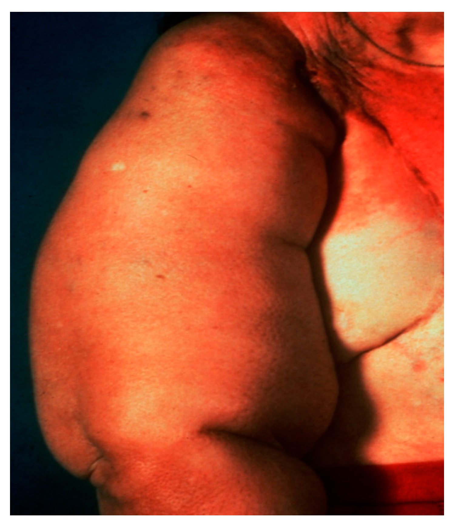 Diagnostics 09 00012 g001