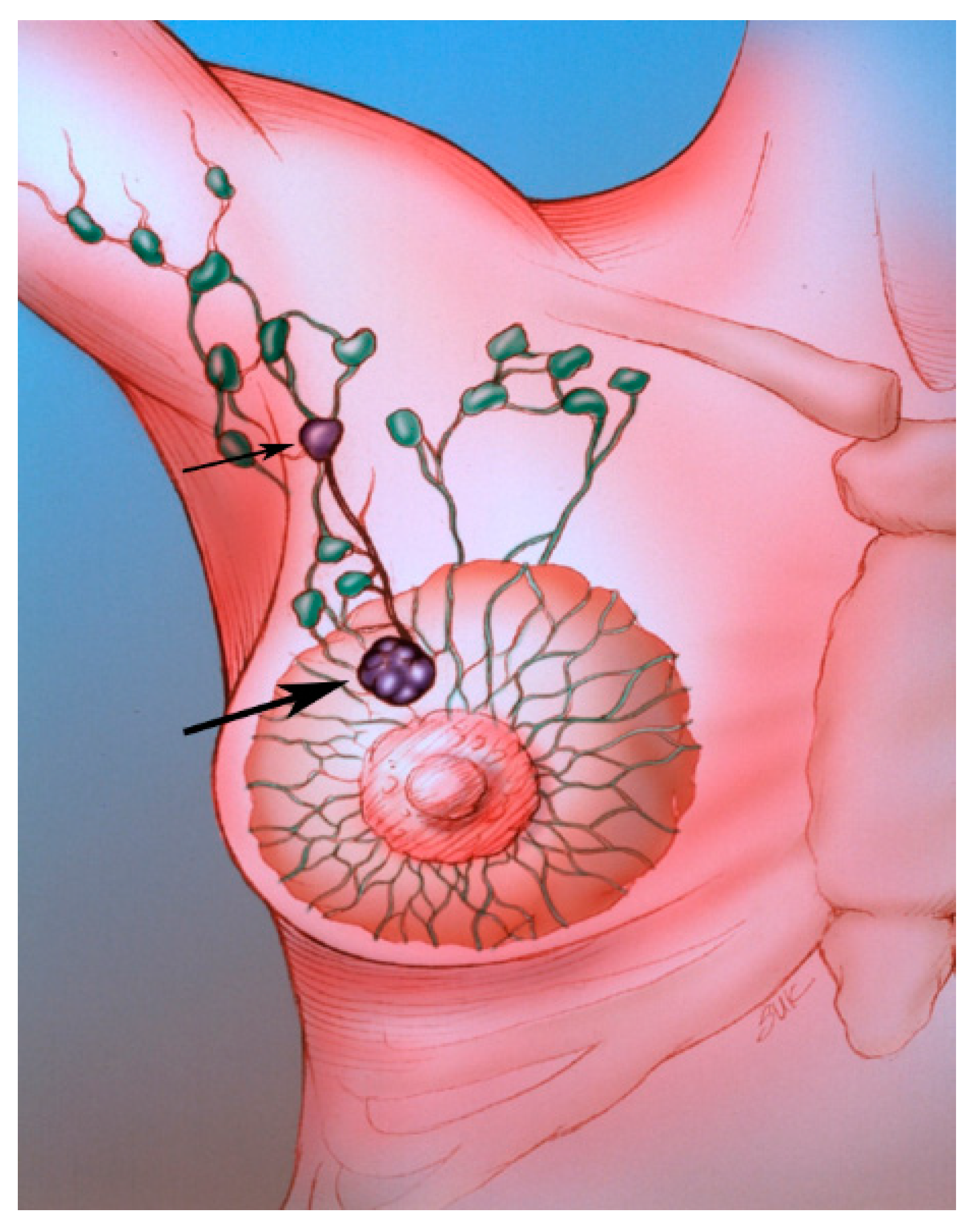 Diagnostics 09 00012 g002