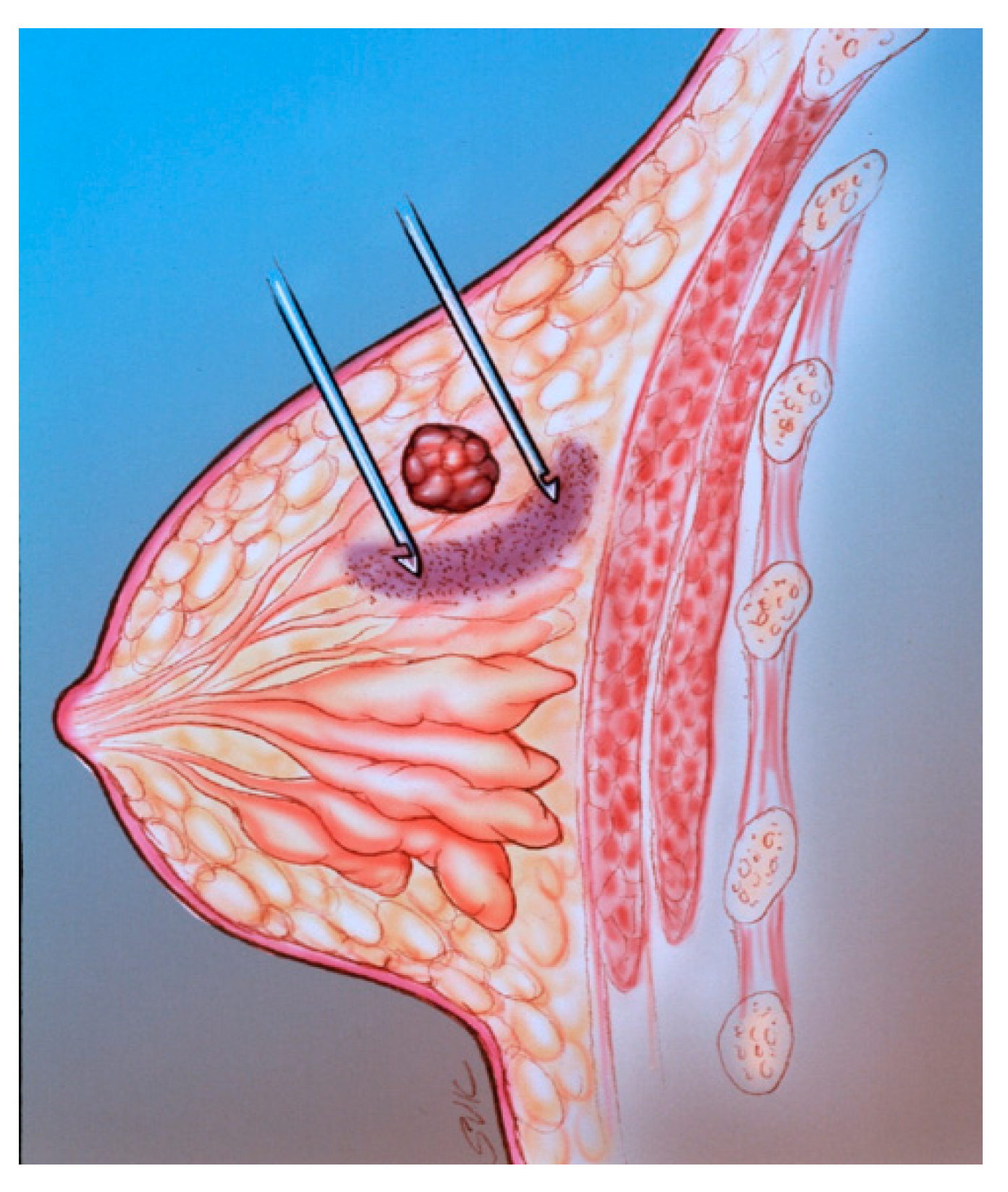 Diagnostics 09 00012 g005