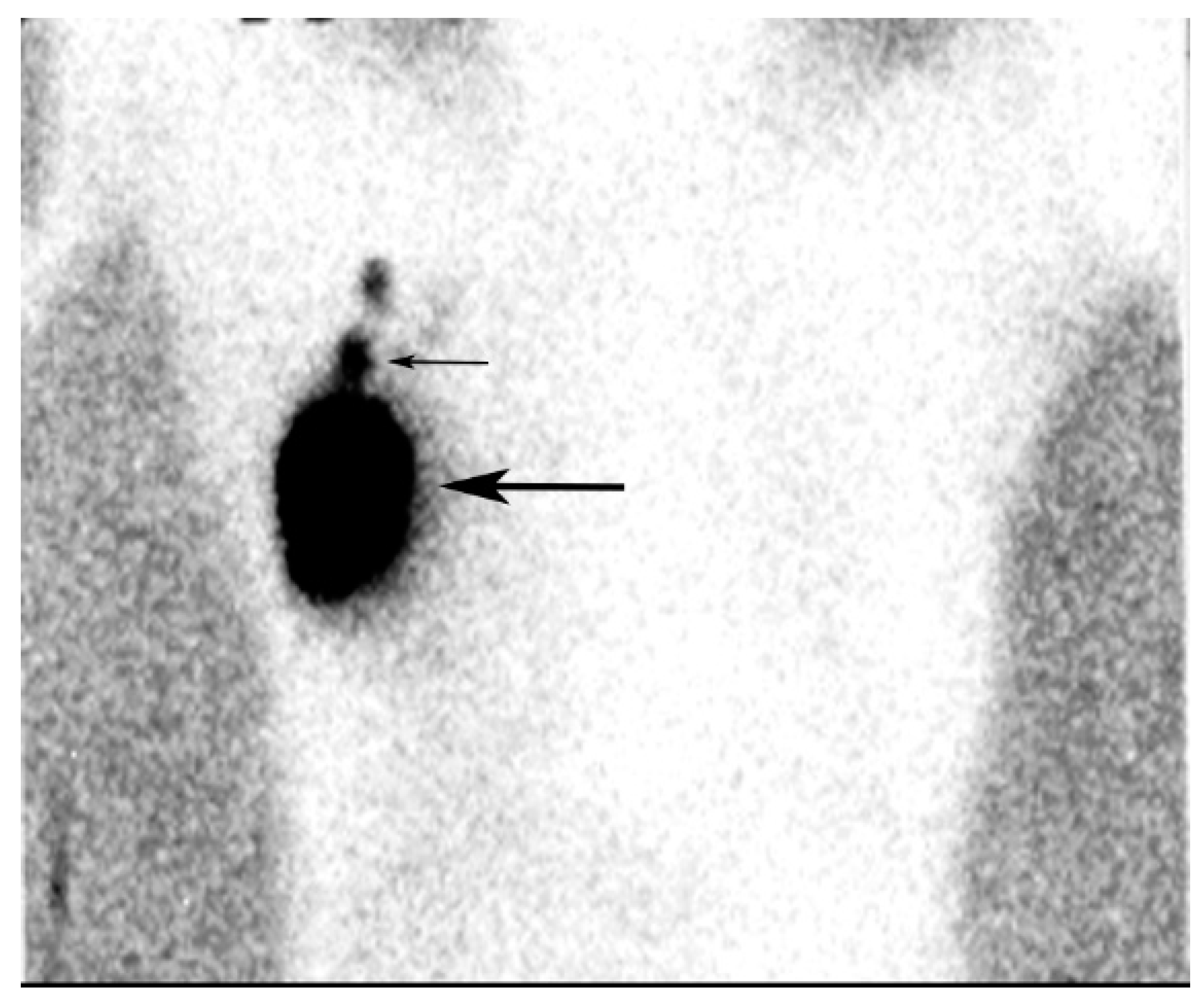 Diagnostics 09 00012 g012