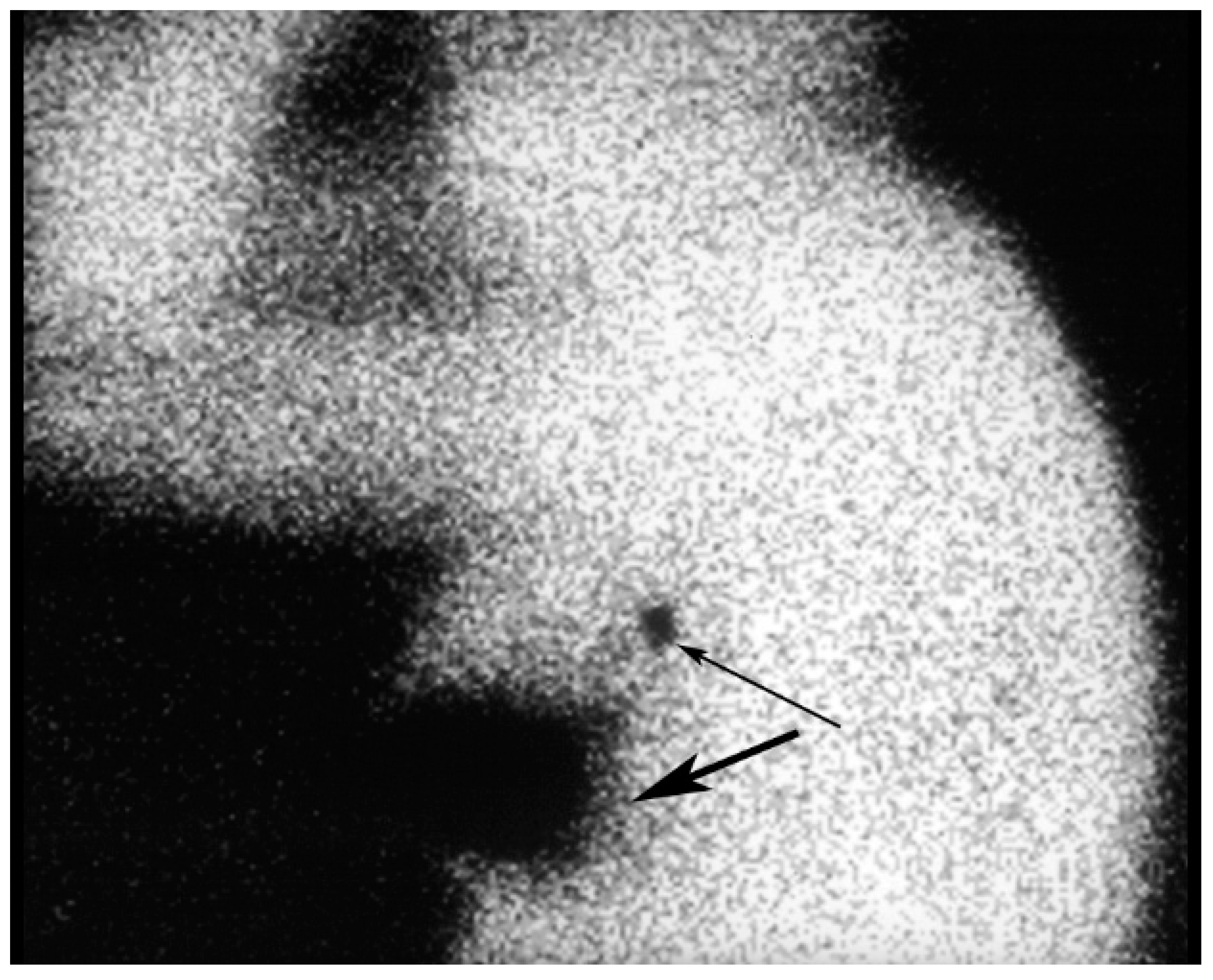 Diagnostics 09 00012 g014