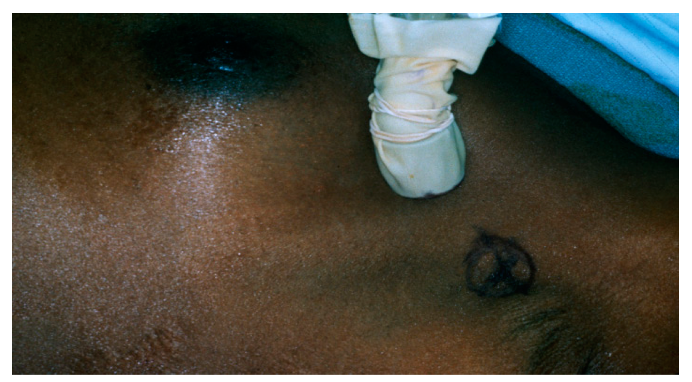 Diagnostics 09 00012 g015