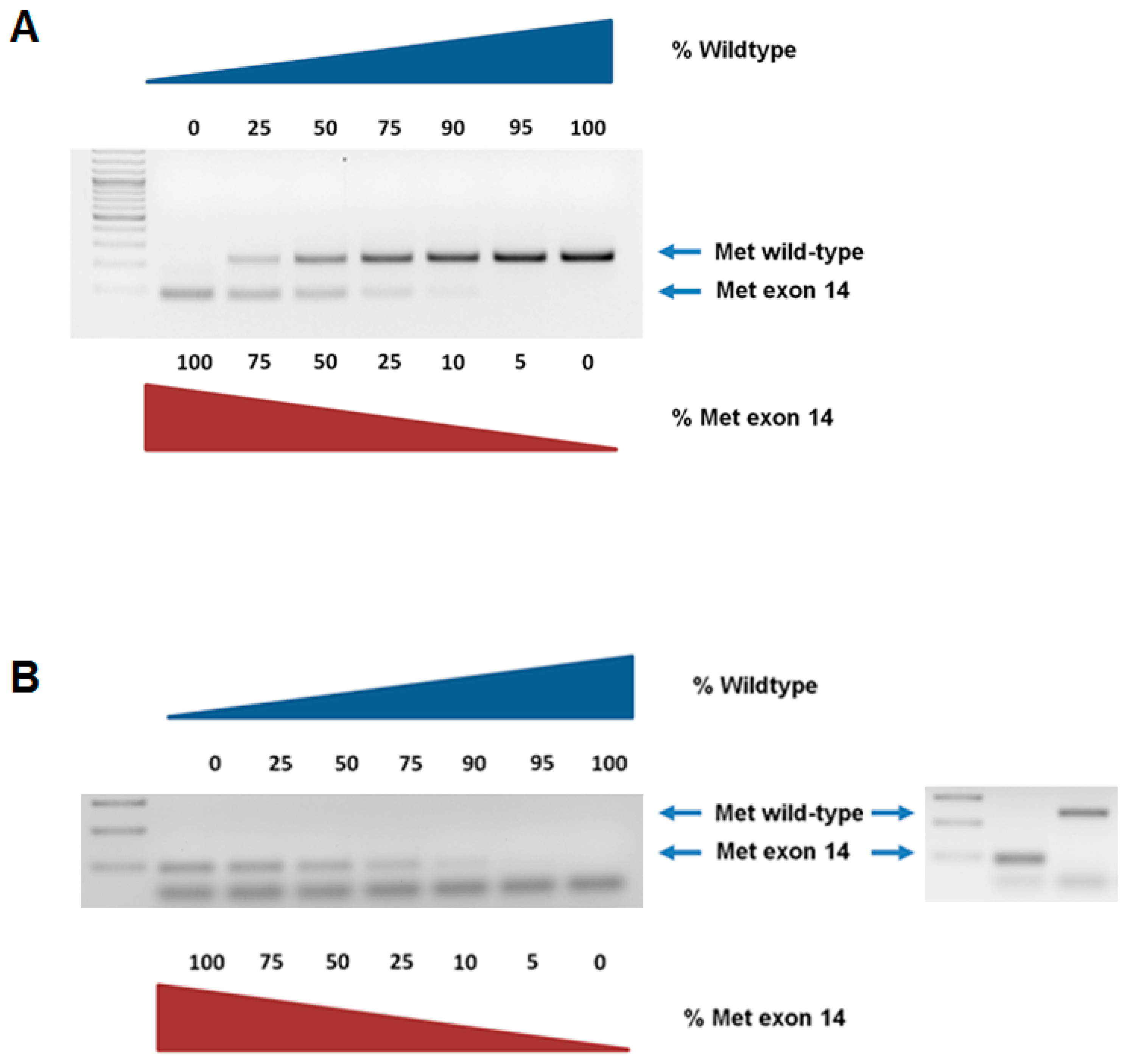 Diagnostics 09 00013 g002 Diagnostics 09 00013 g002