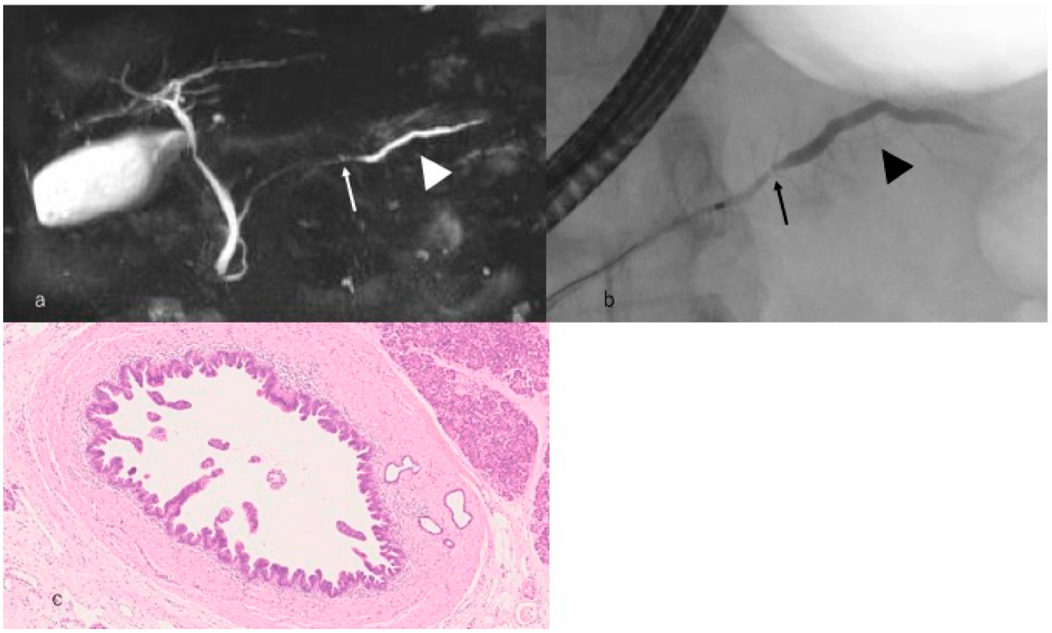 Diagnostics 09 00018 g003 Diagnostics 09 00018 g003