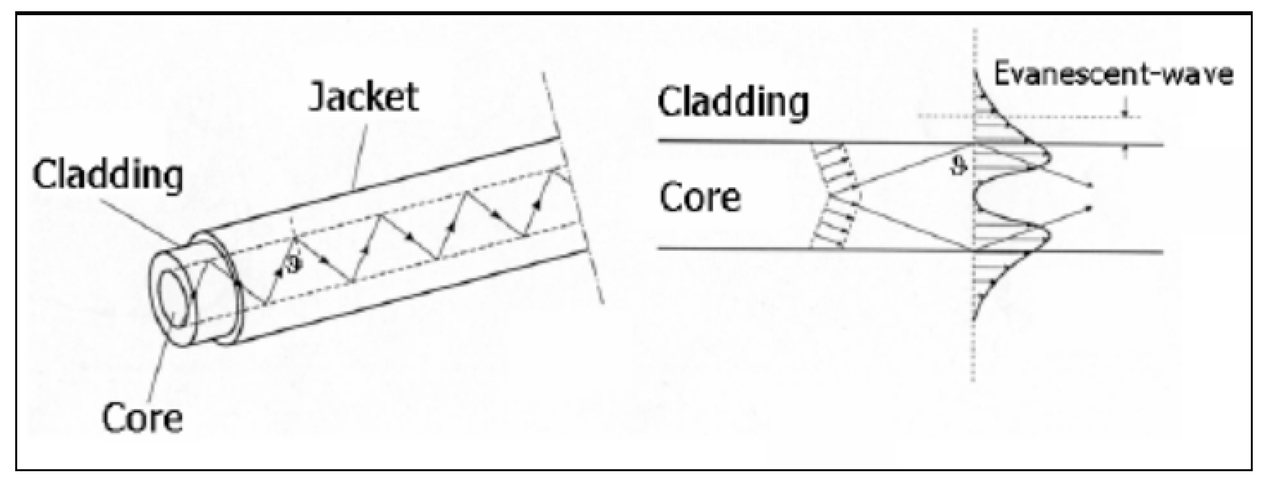Diagnostics 09 00023 g004 Diagnostics 09 00023 g004
