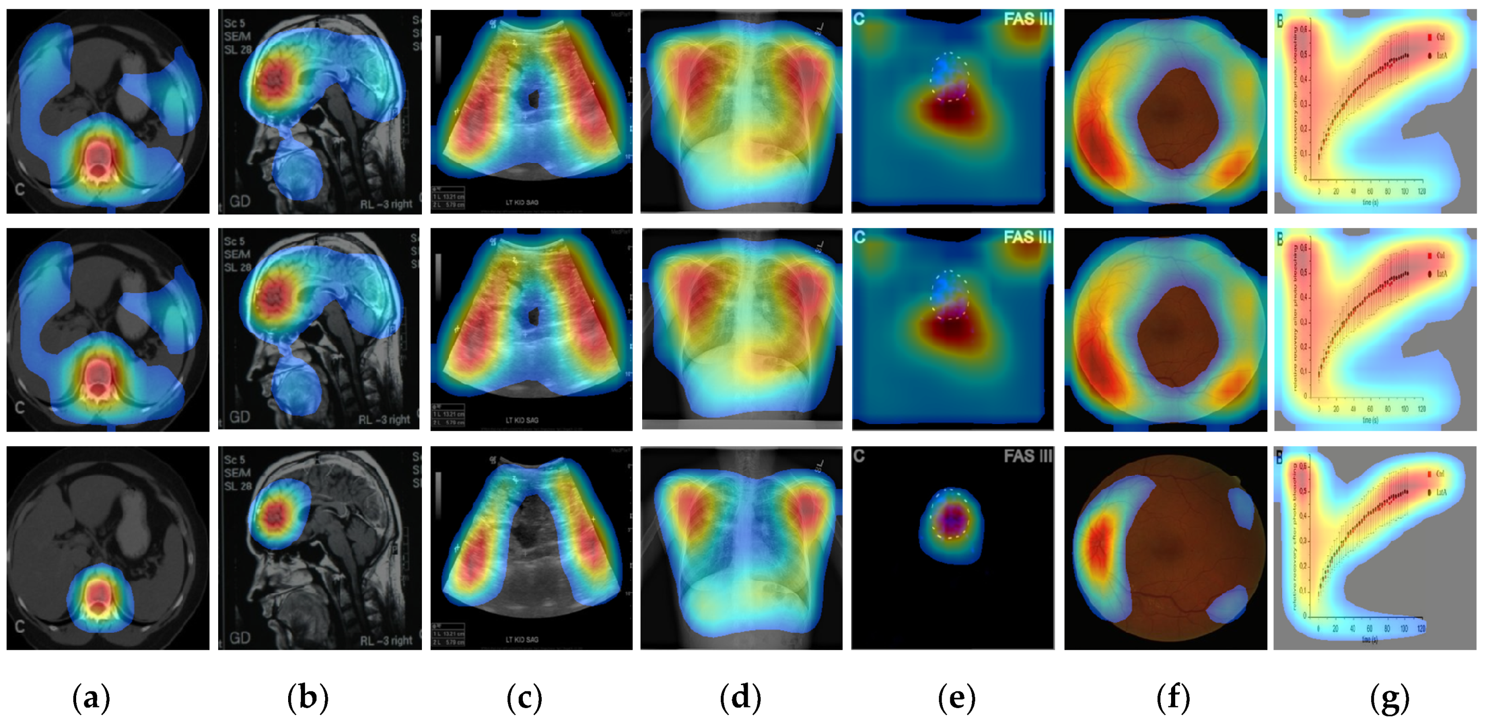 Diagnostics 09 00038 g005