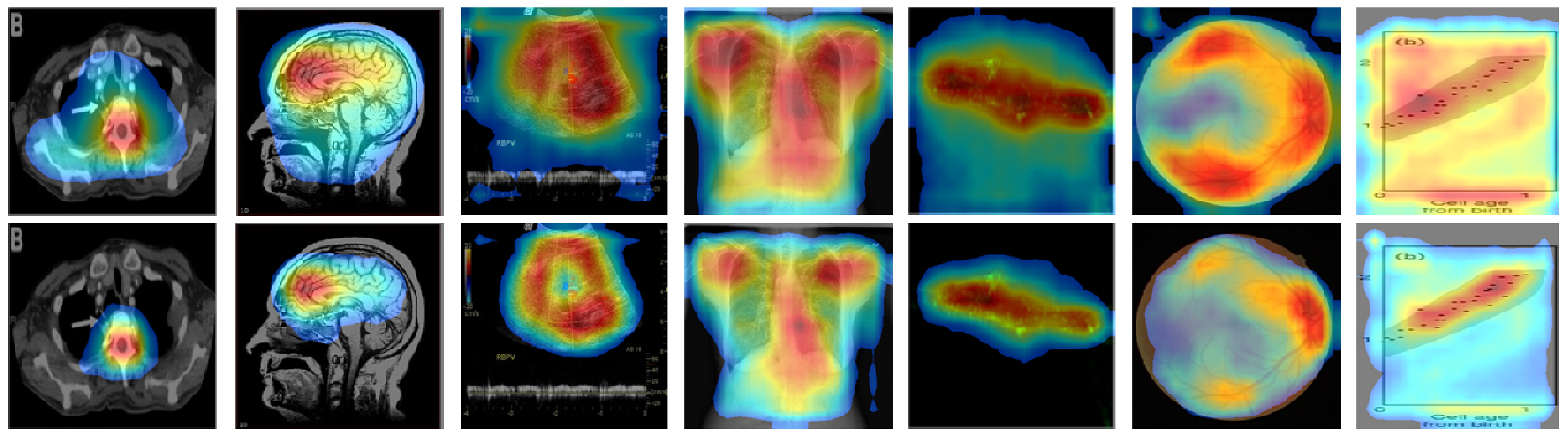 Diagnostics 09 00038 g007