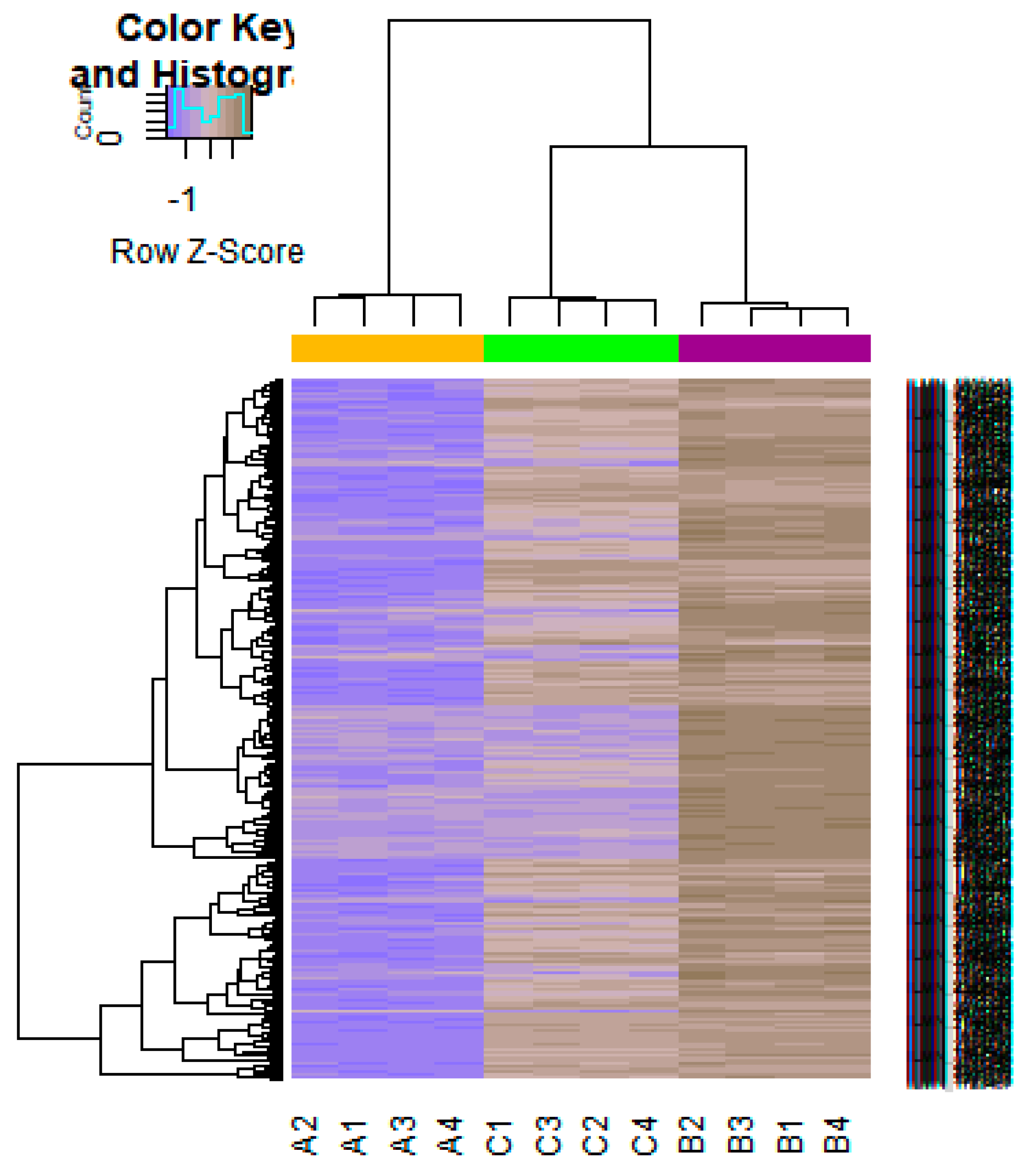 Diagnostics 09 00039 g003