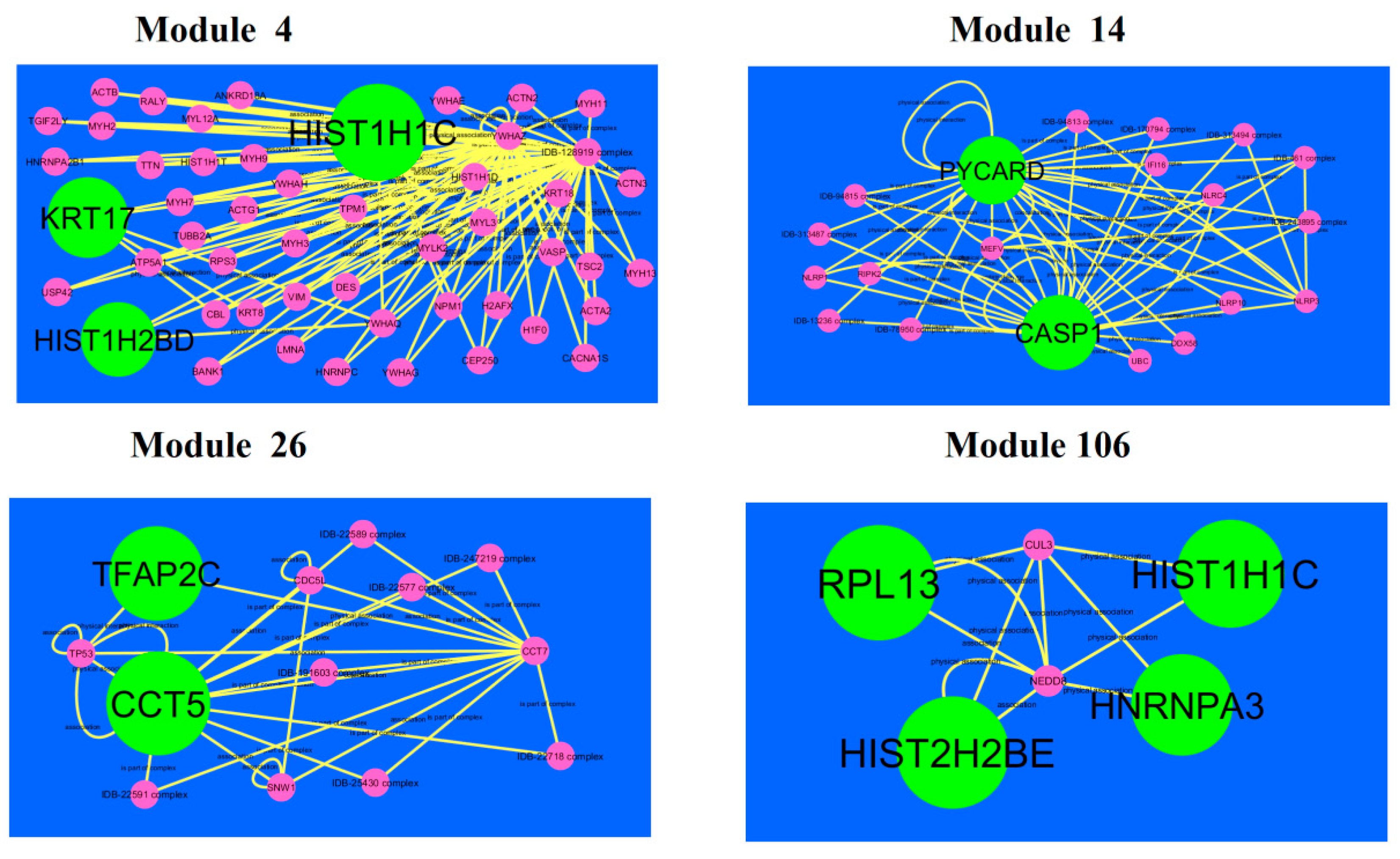 Diagnostics 09 00039 g010