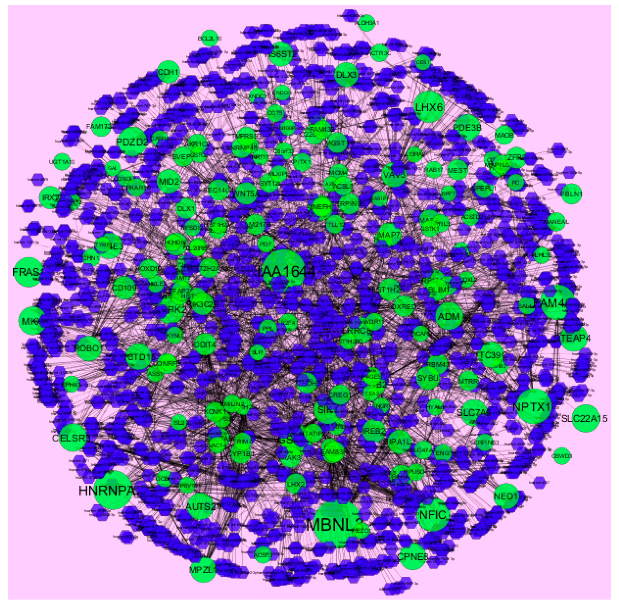 Diagnostics 09 00039 g012