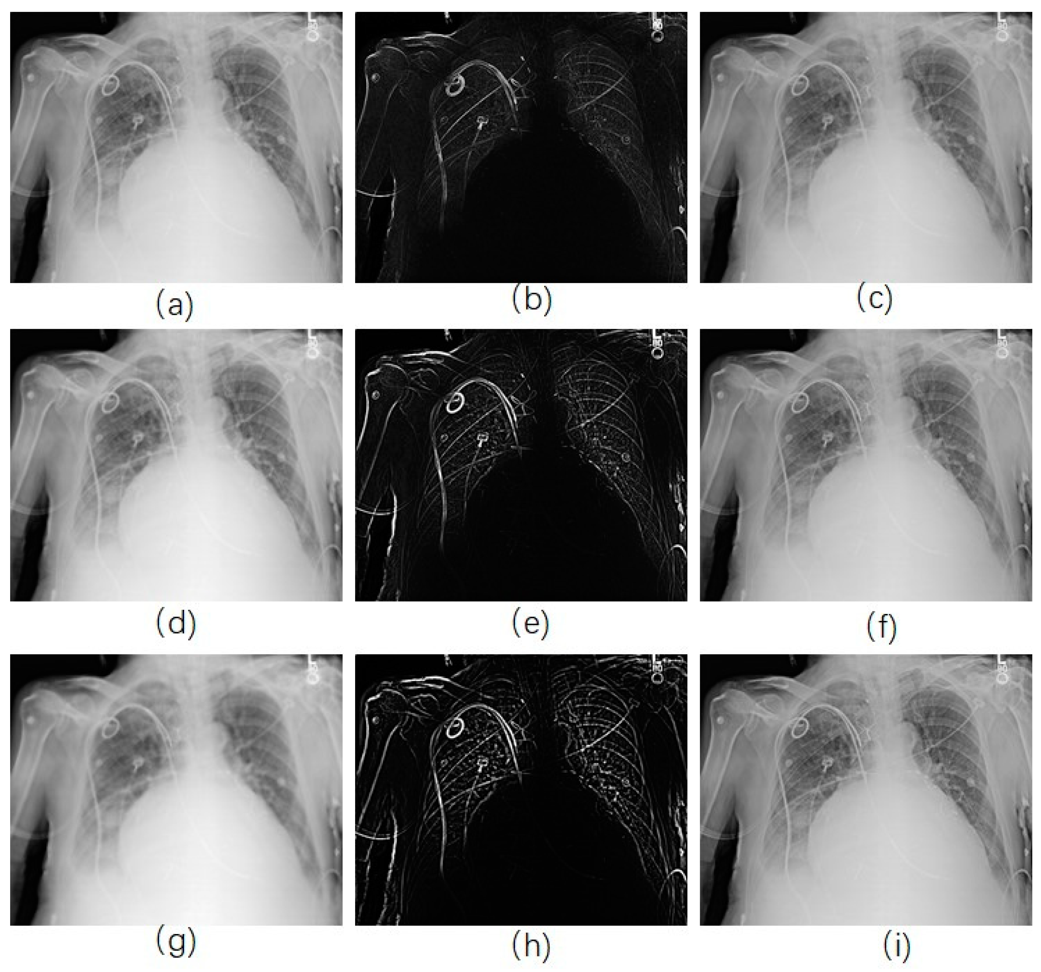 Diagnostics 09 00045 g005