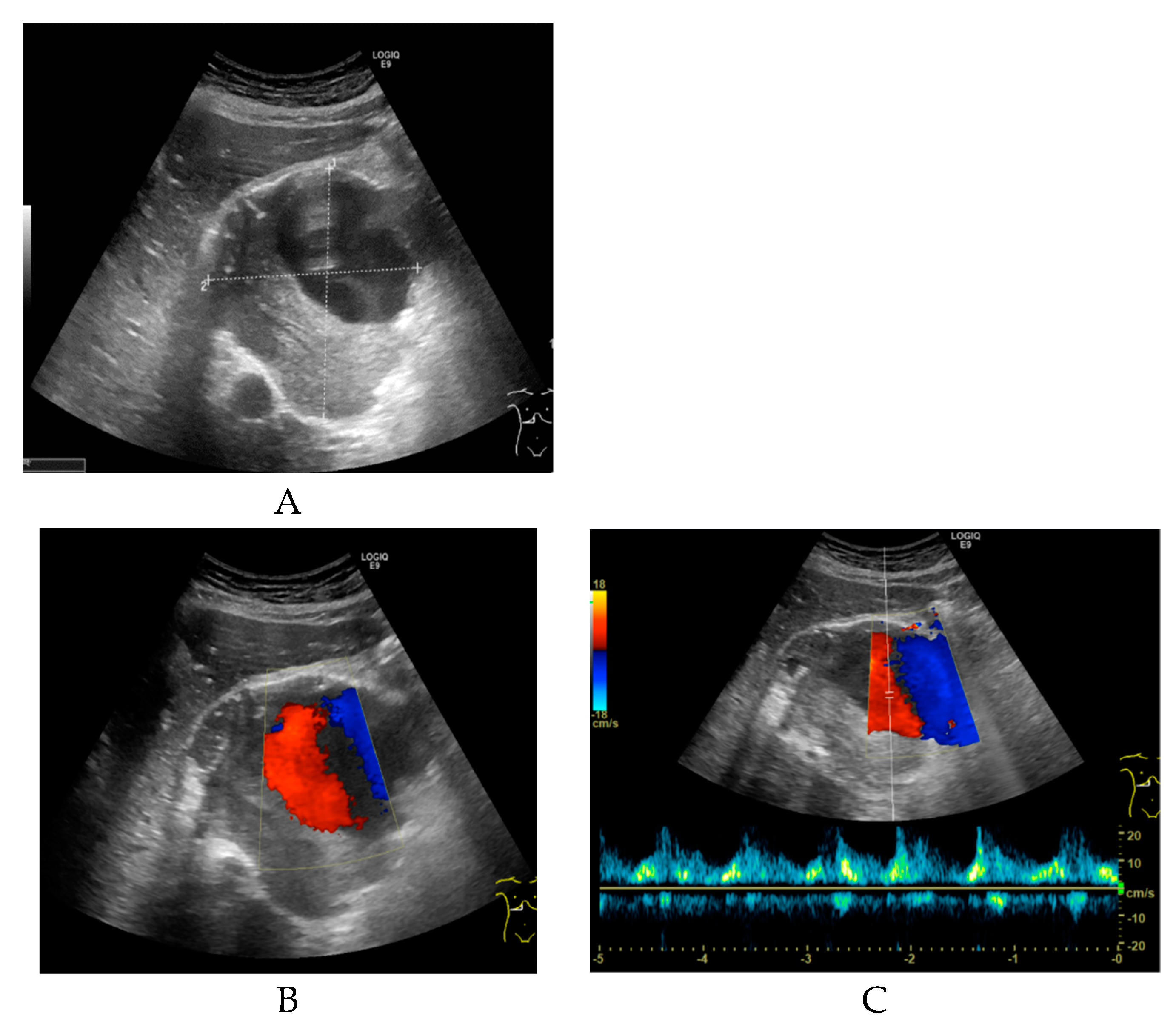 Diagnostics 09 00053 g002