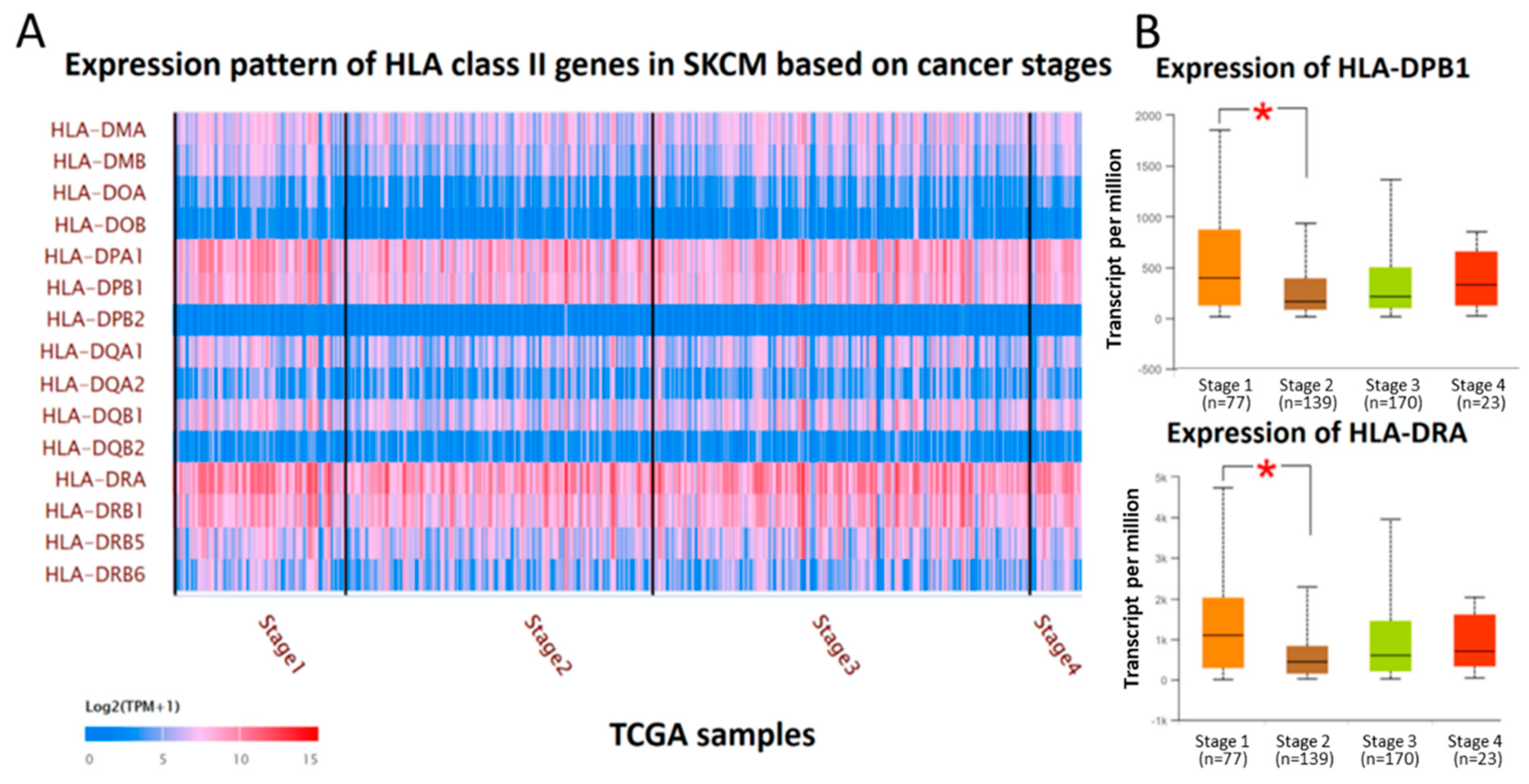Diagnostics 09 00059 g002