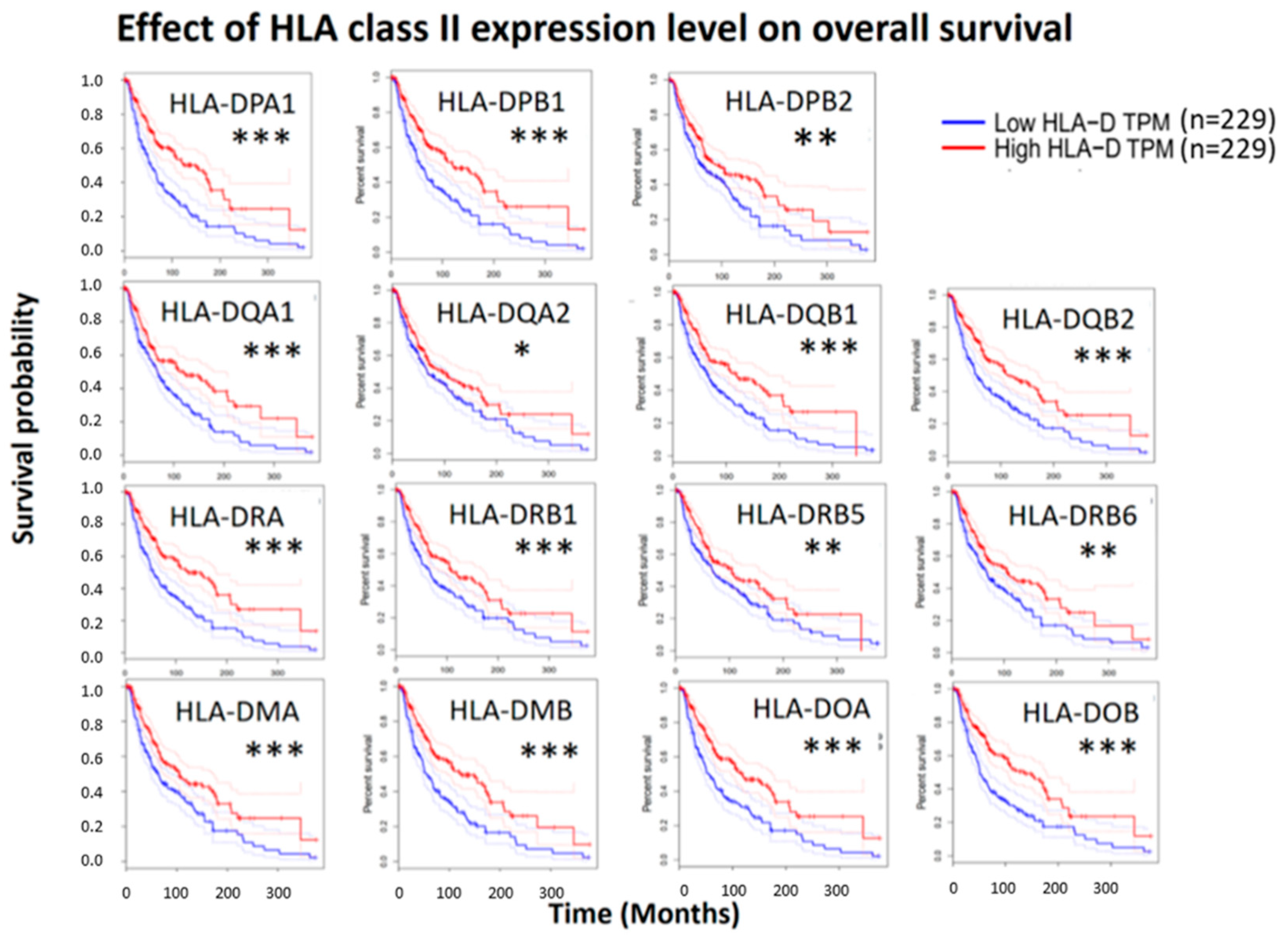 Diagnostics 09 00059 g004