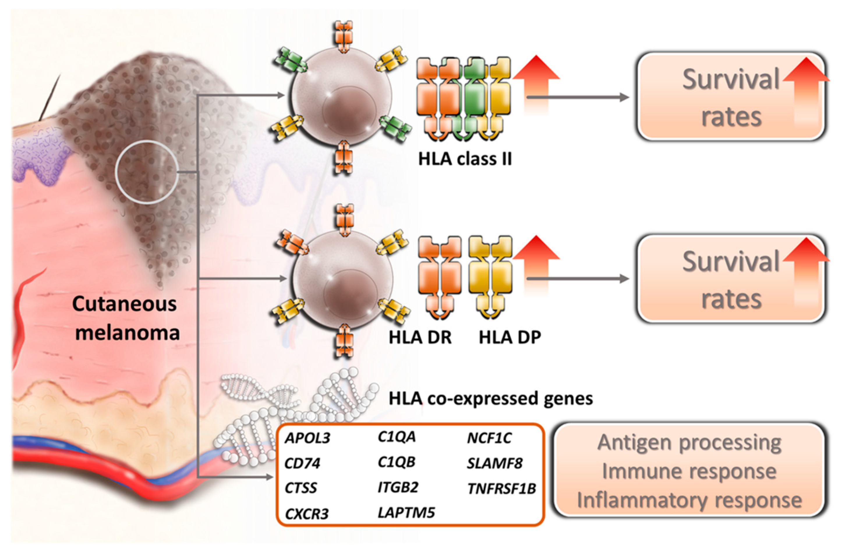 Diagnostics 09 00059 g009