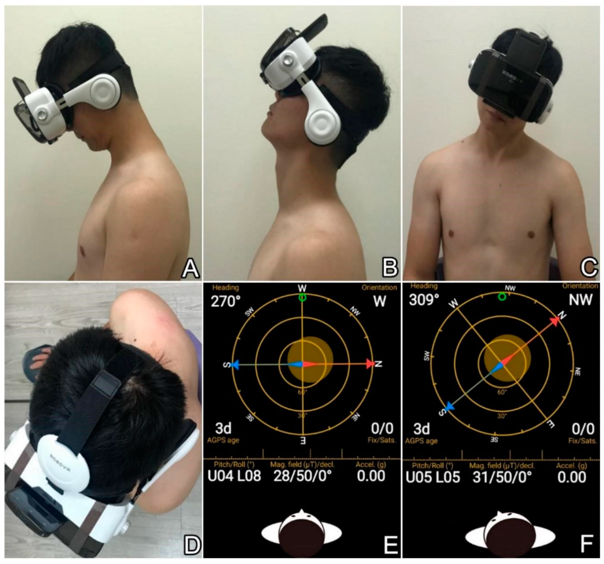 Diagnostics 09 00071 g001