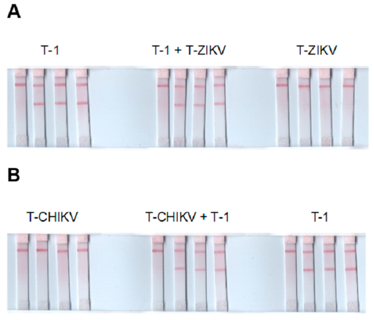 Diagnostics 09 00074 g004