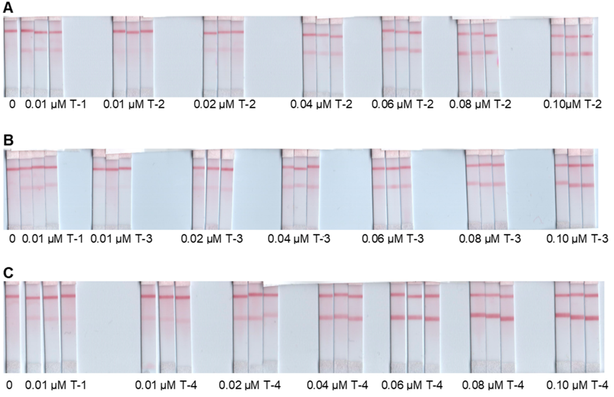 Diagnostics 09 00074 g005