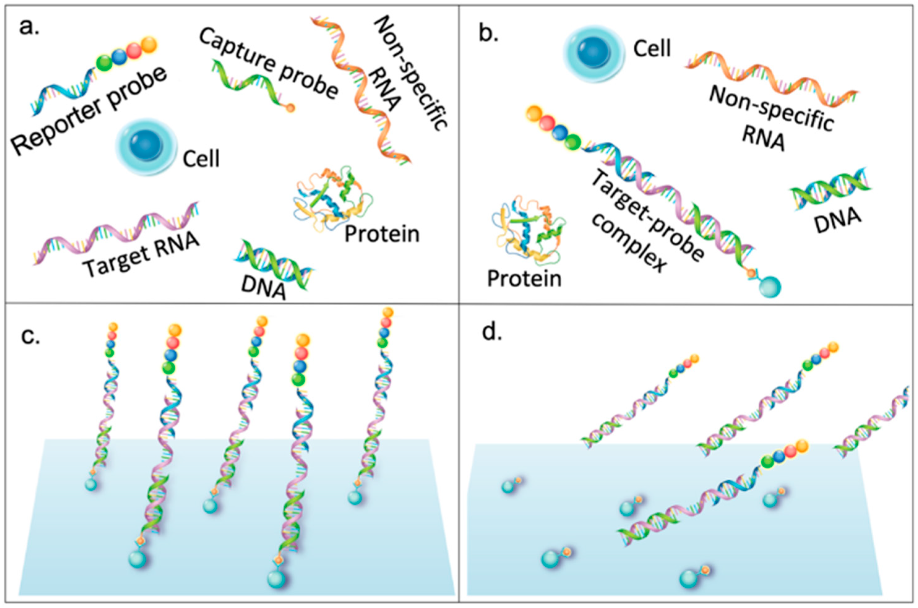 Diagnostics 09 00075 g002