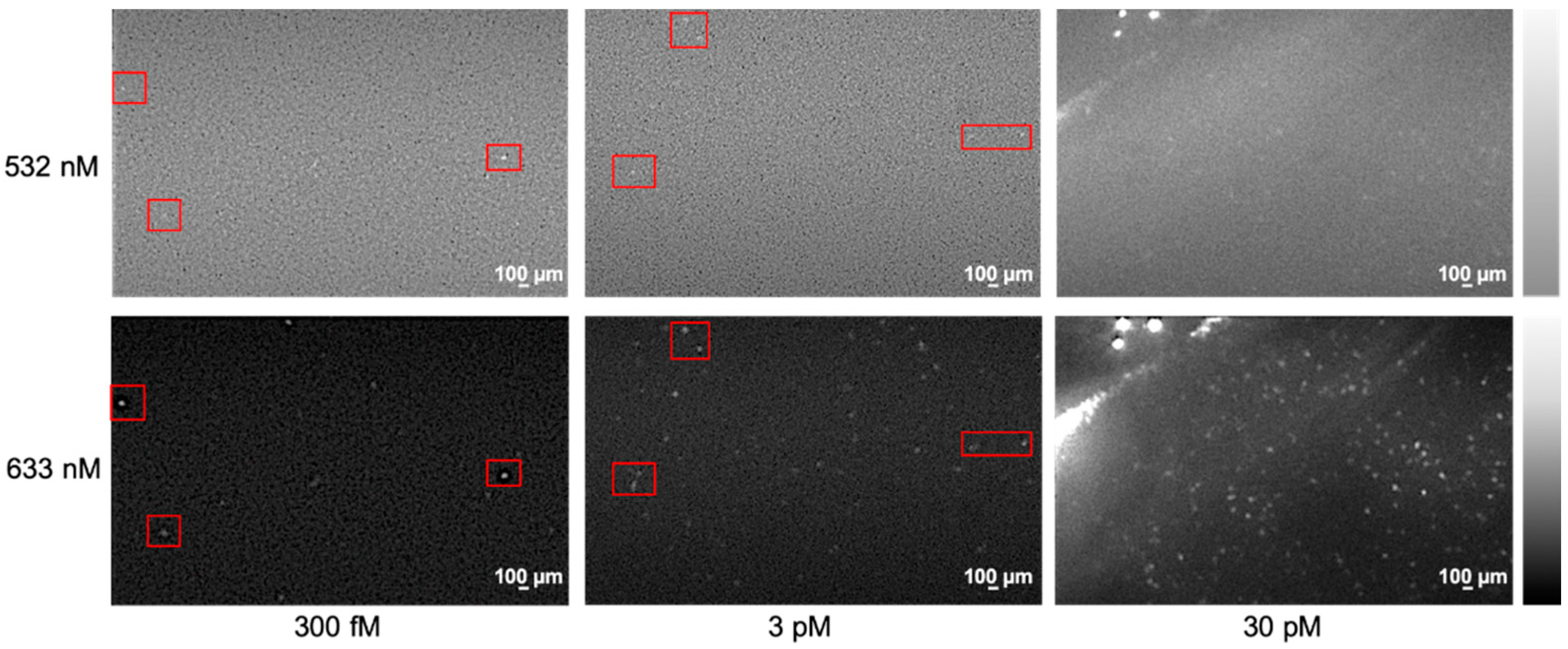 Diagnostics 09 00075 g003