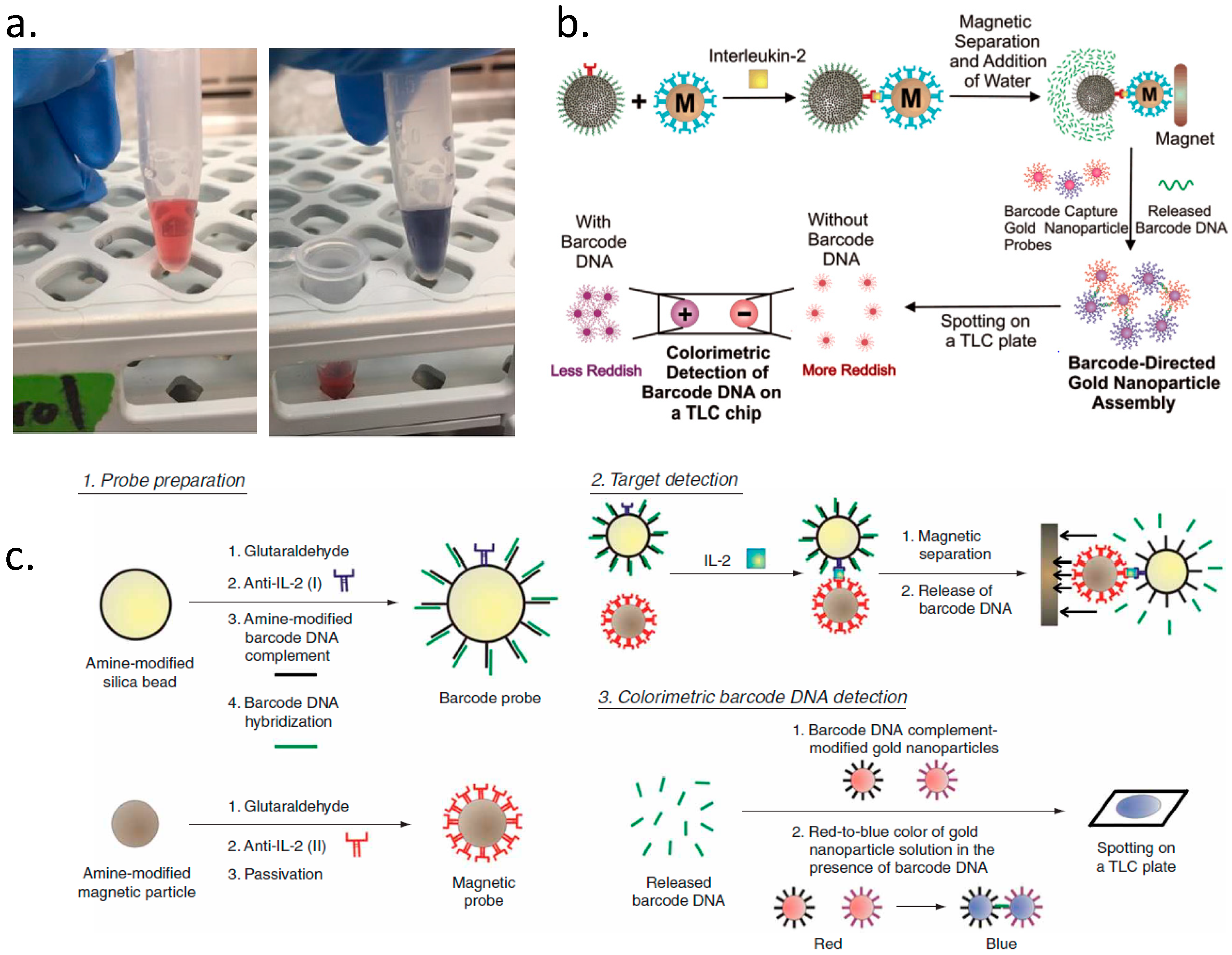 Diagnostics 09 00075 g004