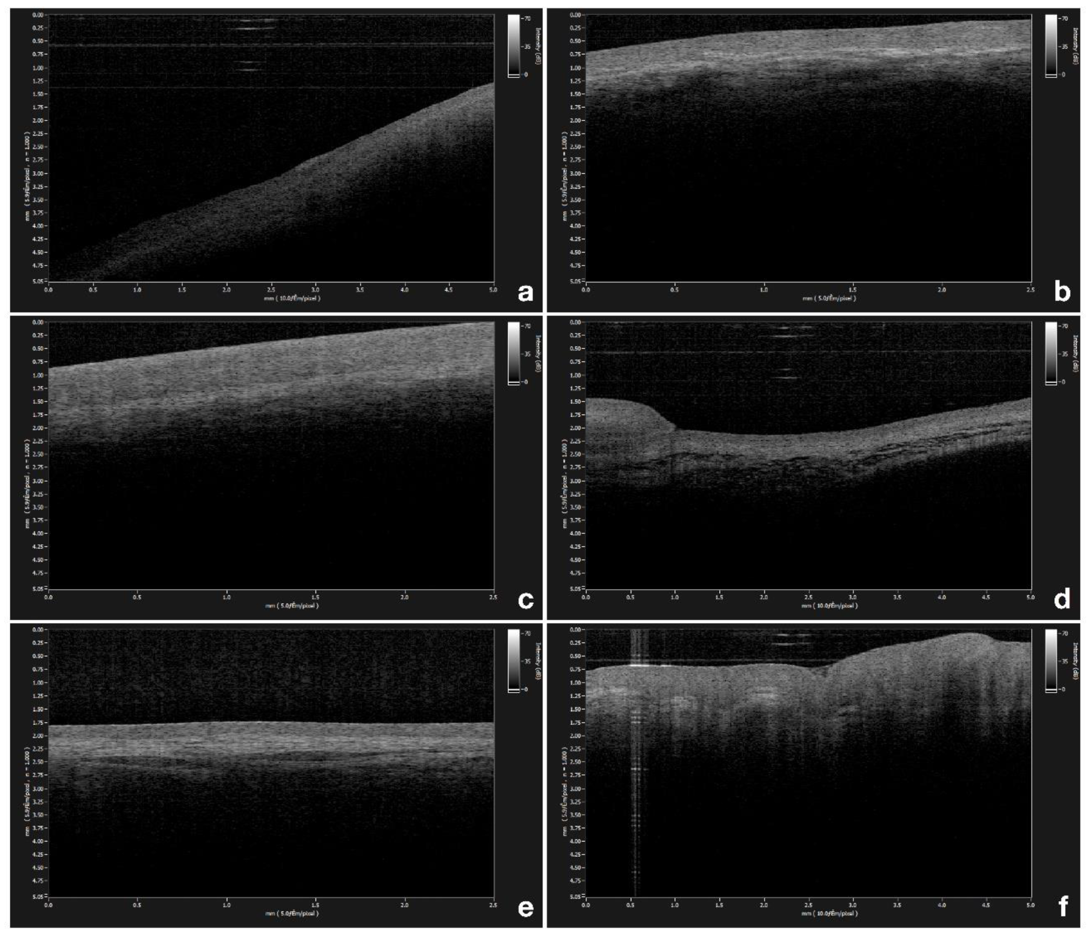 Diagnostics 09 00090 g001