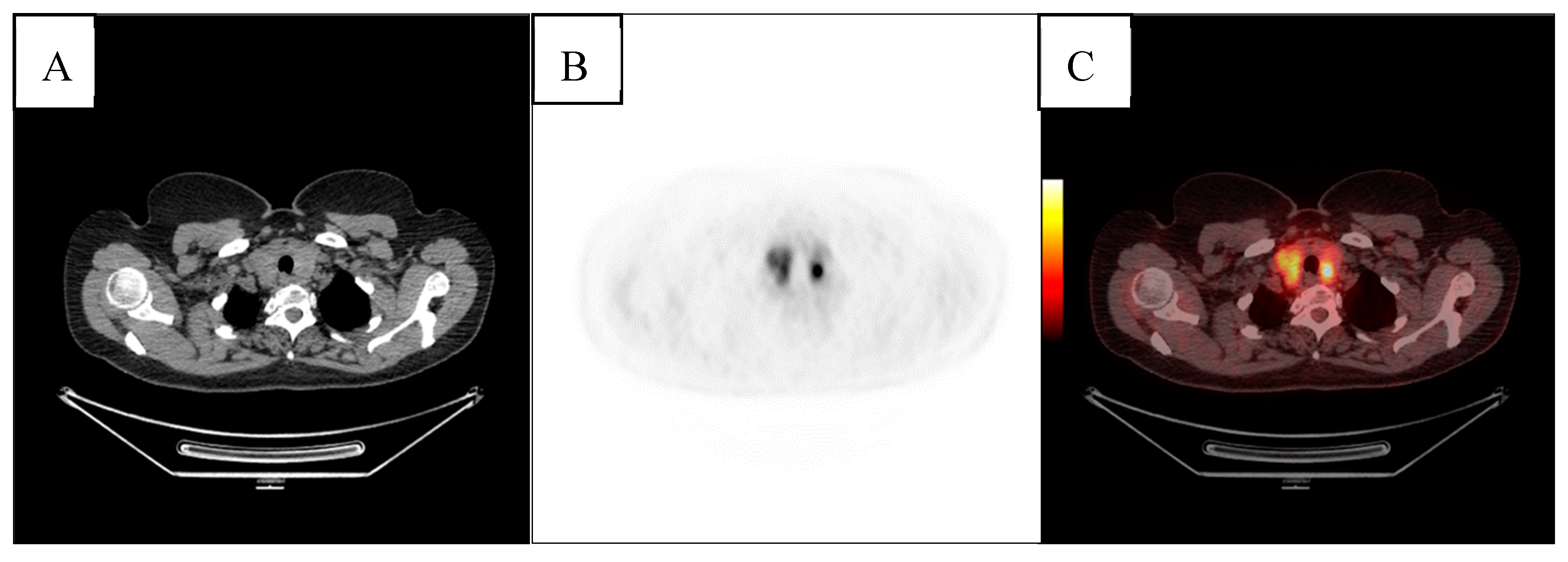 Diagnostics 09 00092 g002