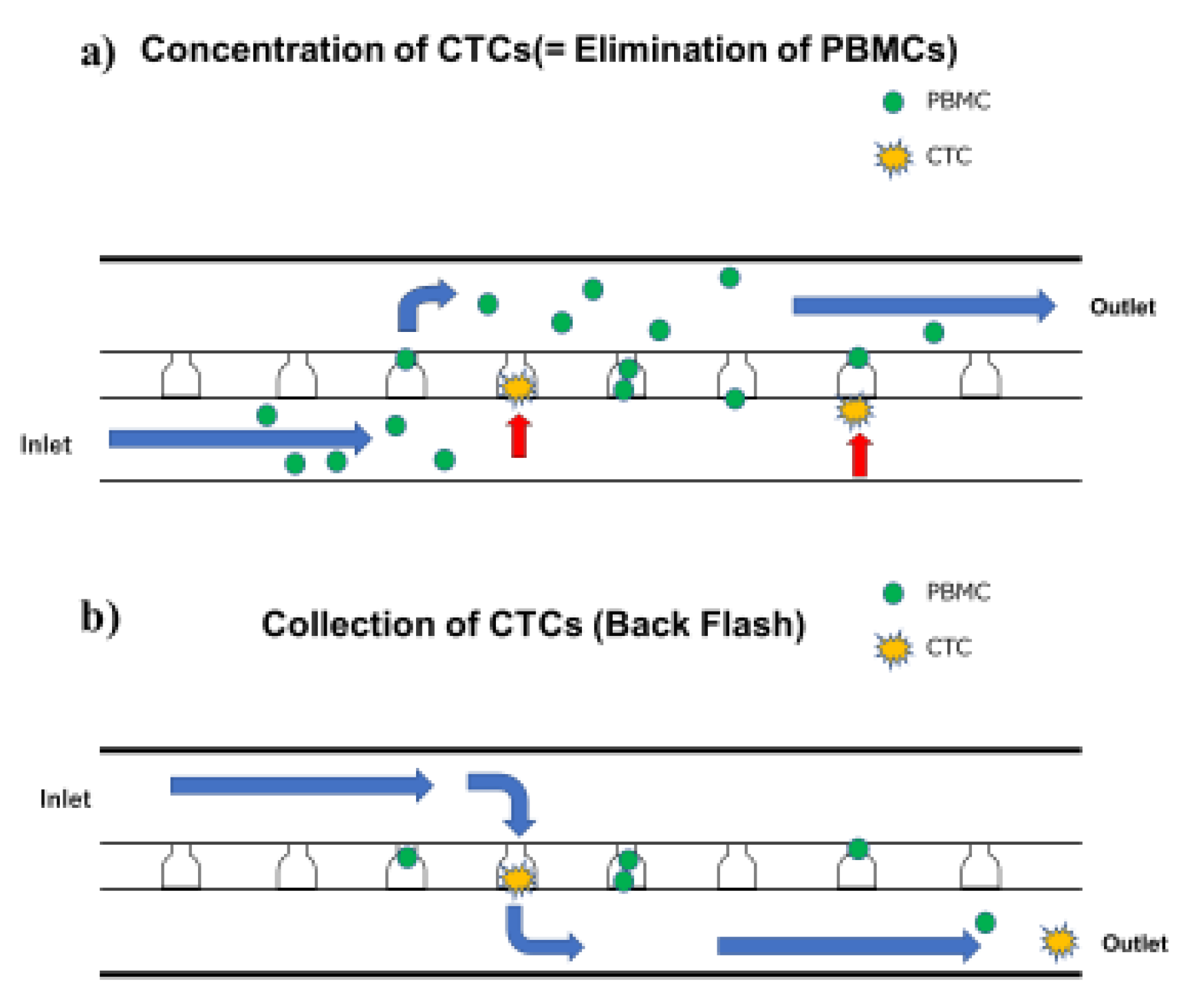 Diagnostics 09 00096 g001