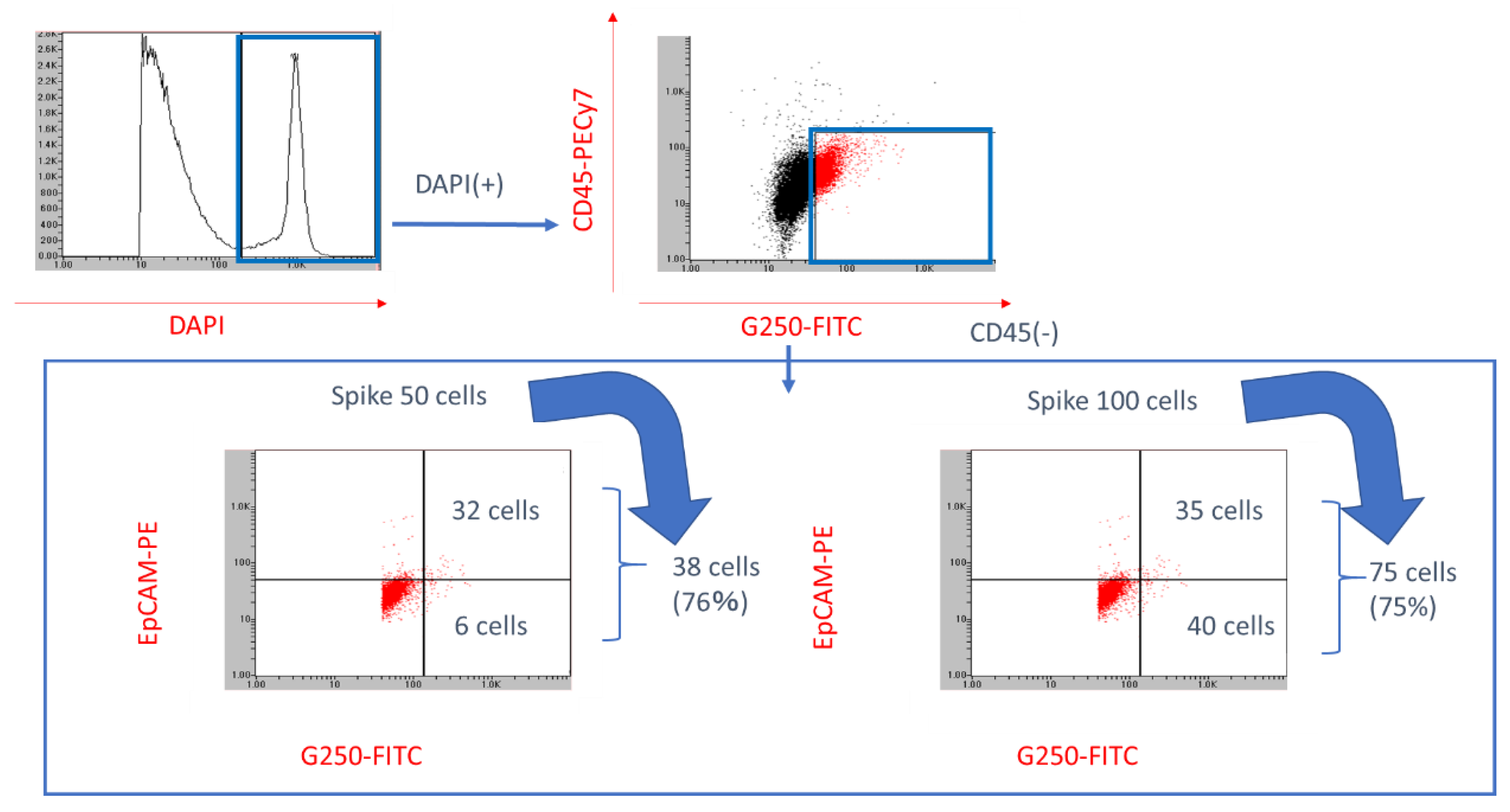 Diagnostics 09 00096 g003