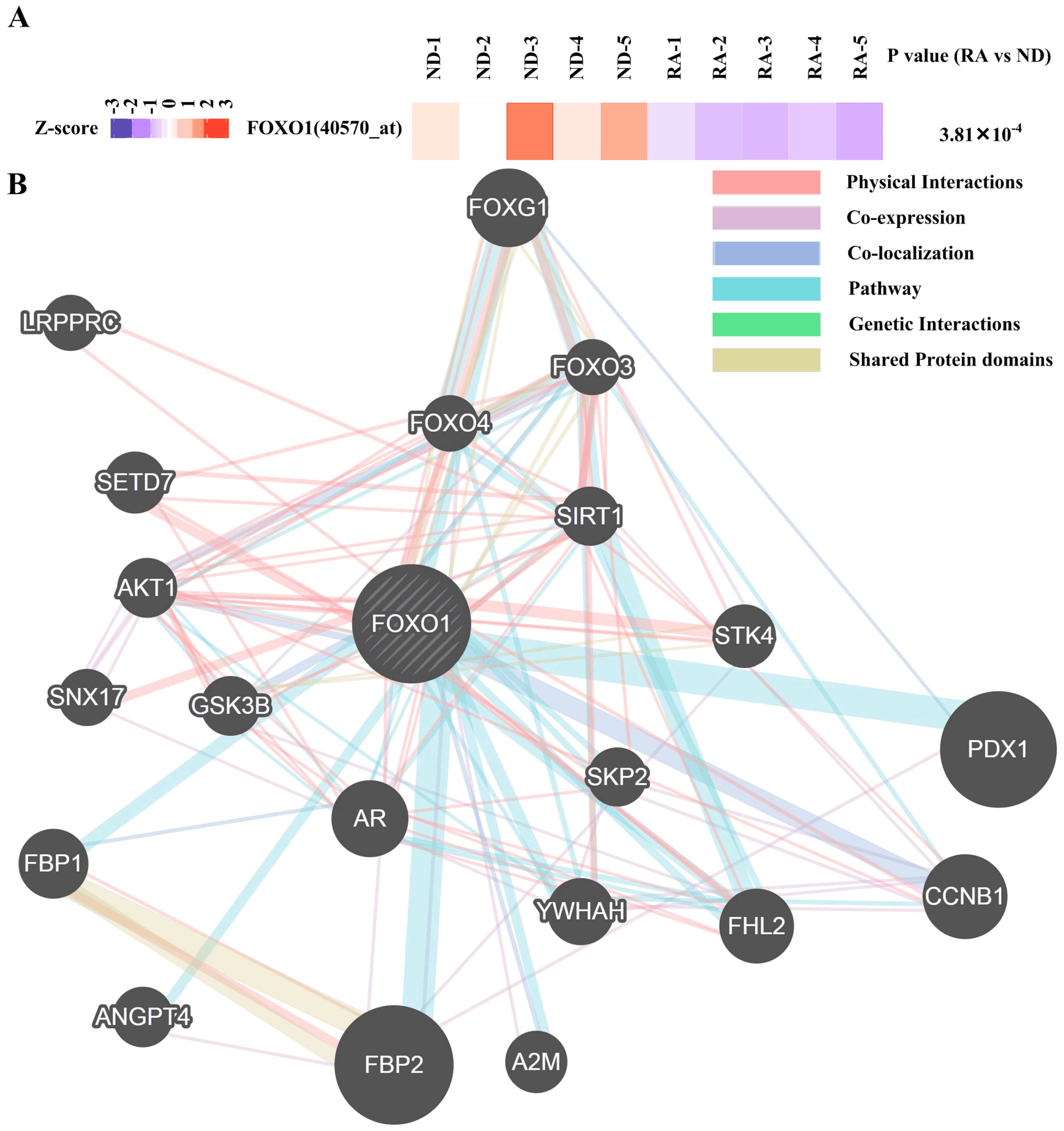 Diagnostics 09 00098 g004