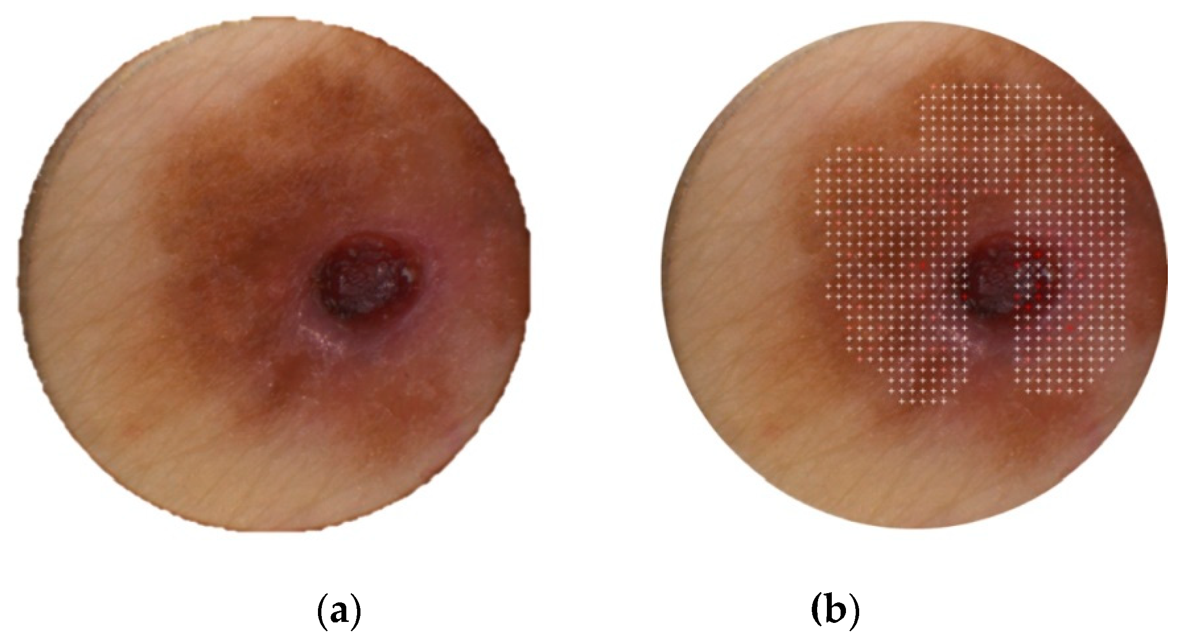 Diagnostics 09 00103 g004