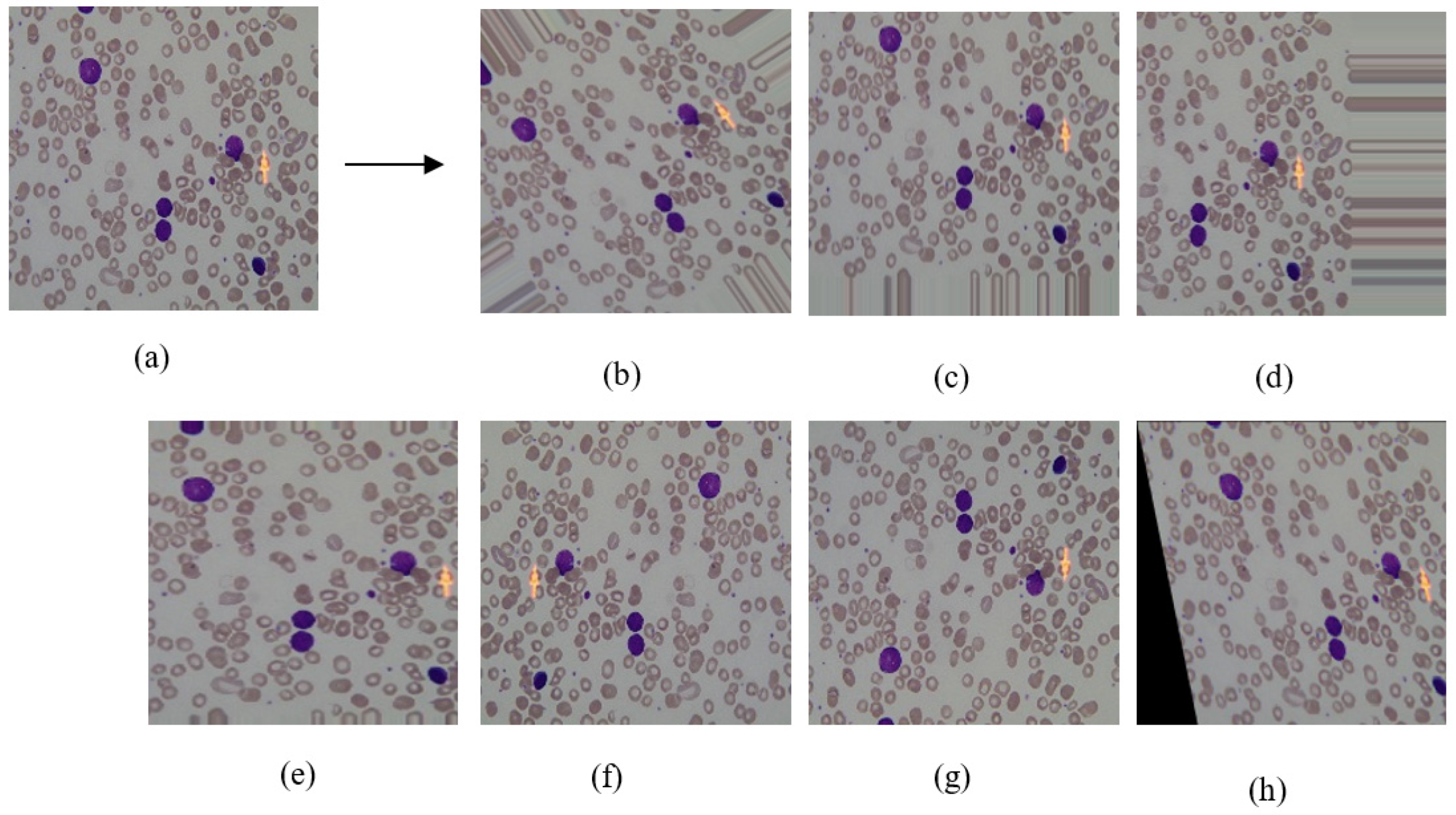 Diagnostics 09 00104 g002