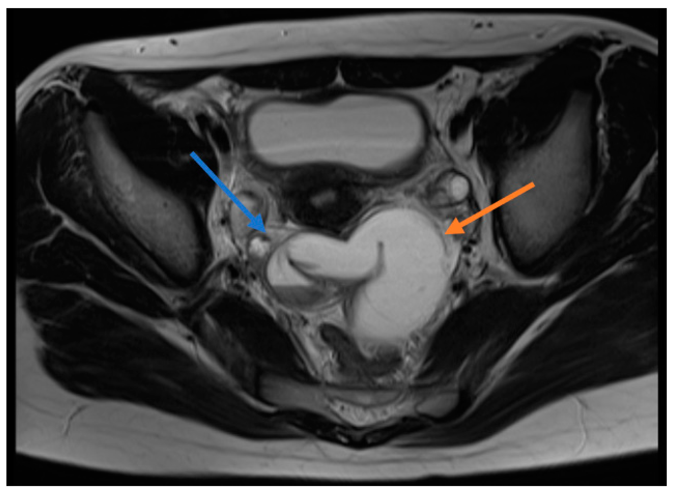 Diagnostics 09 00110 g001