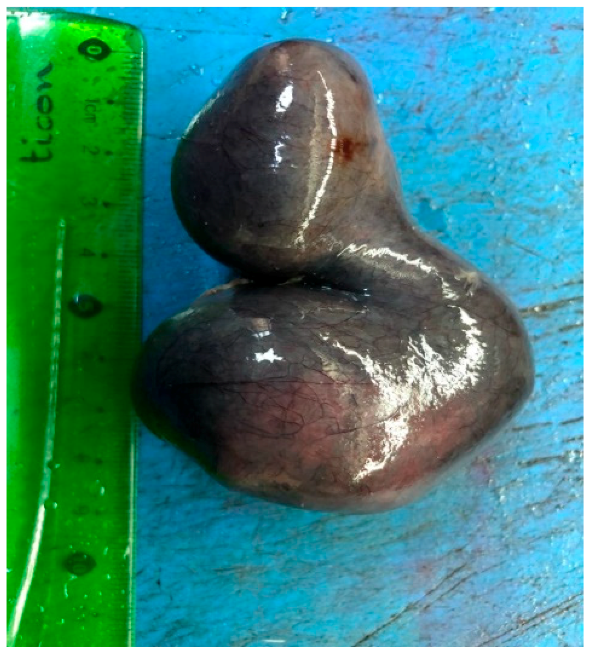 Diagnostics 09 00110 g002