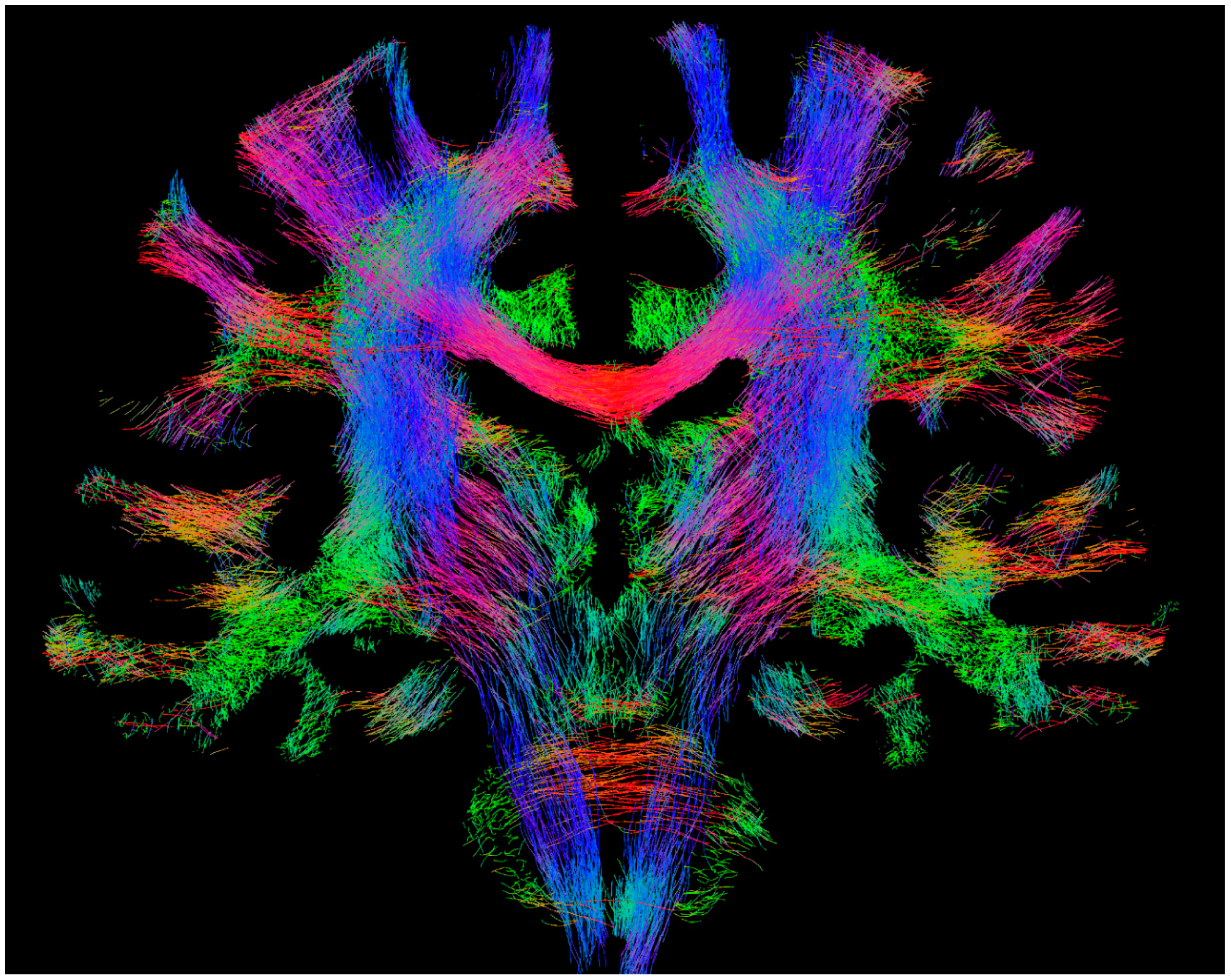 Diagnostics 09 00115 g001