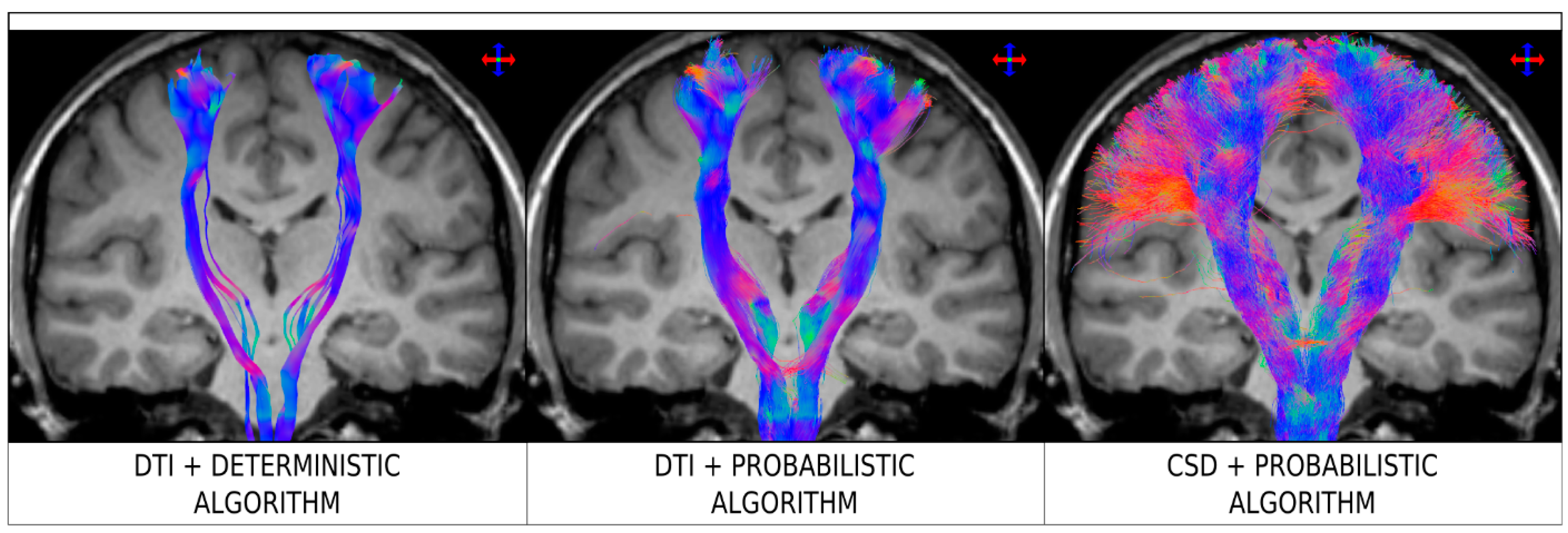 Diagnostics 09 00115 g002