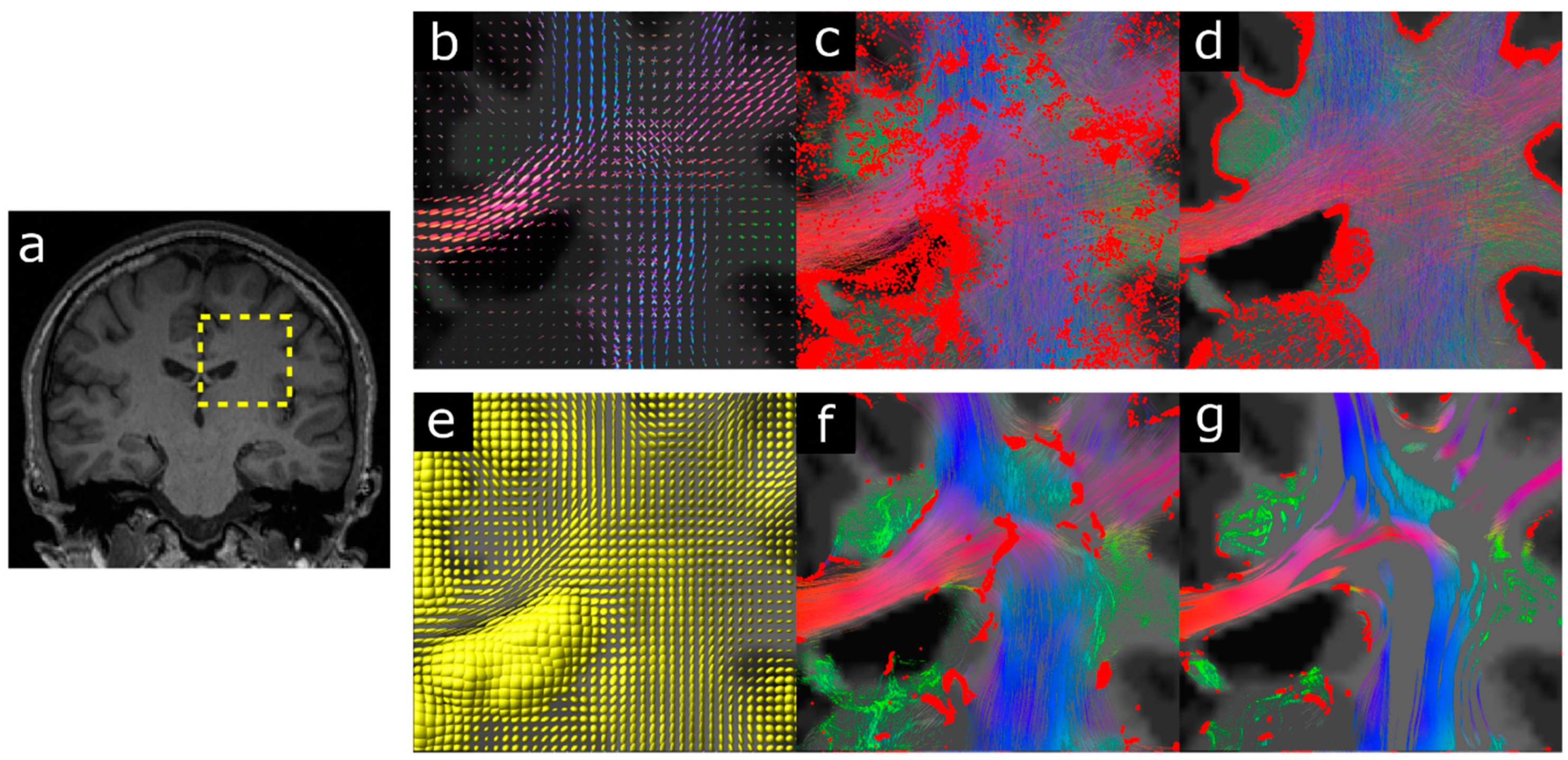 Diagnostics 09 00115 g005